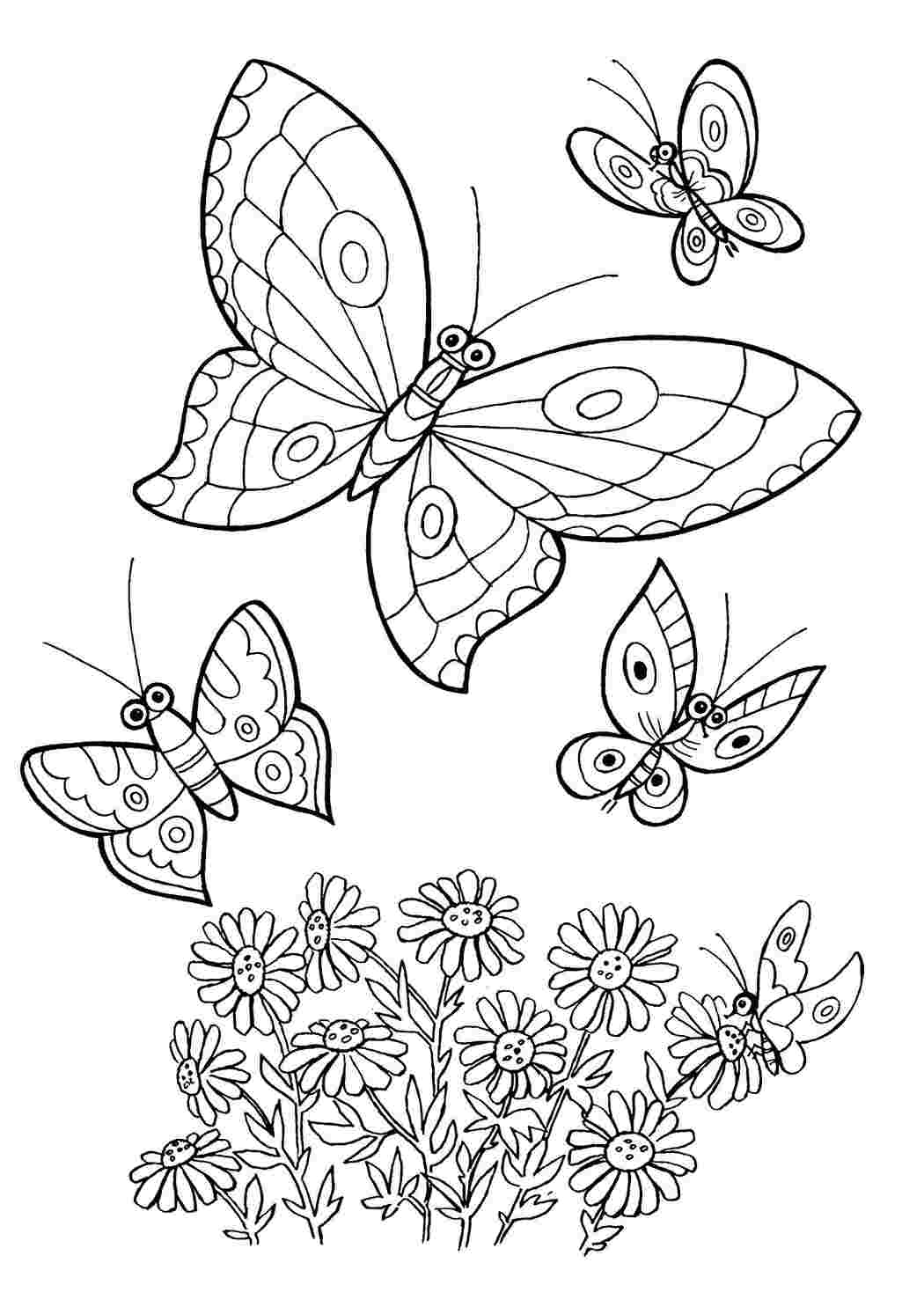Бабочки и цветы. Обучающие раскраски.