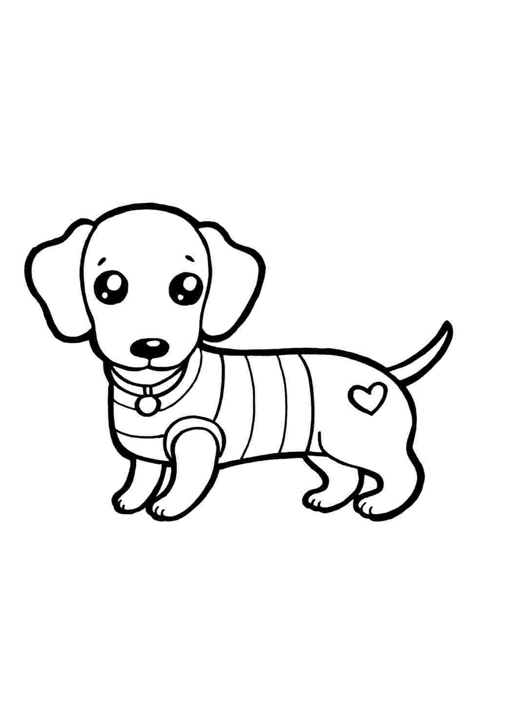 Собака Мандала | Раскраска для детей и взрослых: 20 разукрашек распечатать