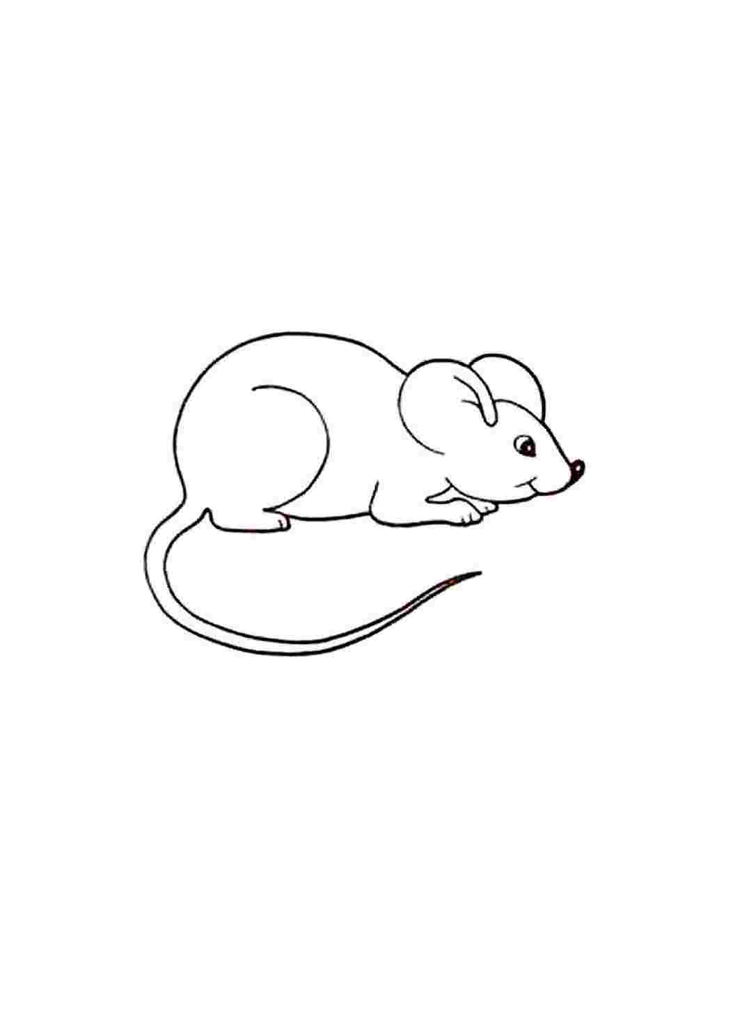 Раскраски Мышка (47 шт.) - скачать или распечатать бесплатно #