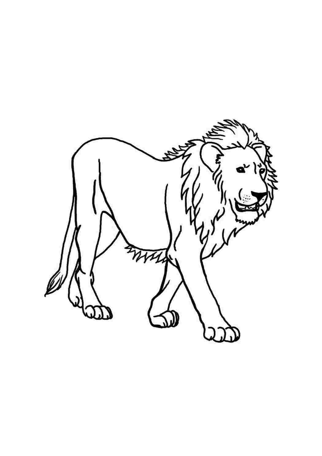 Король Лев раскраски