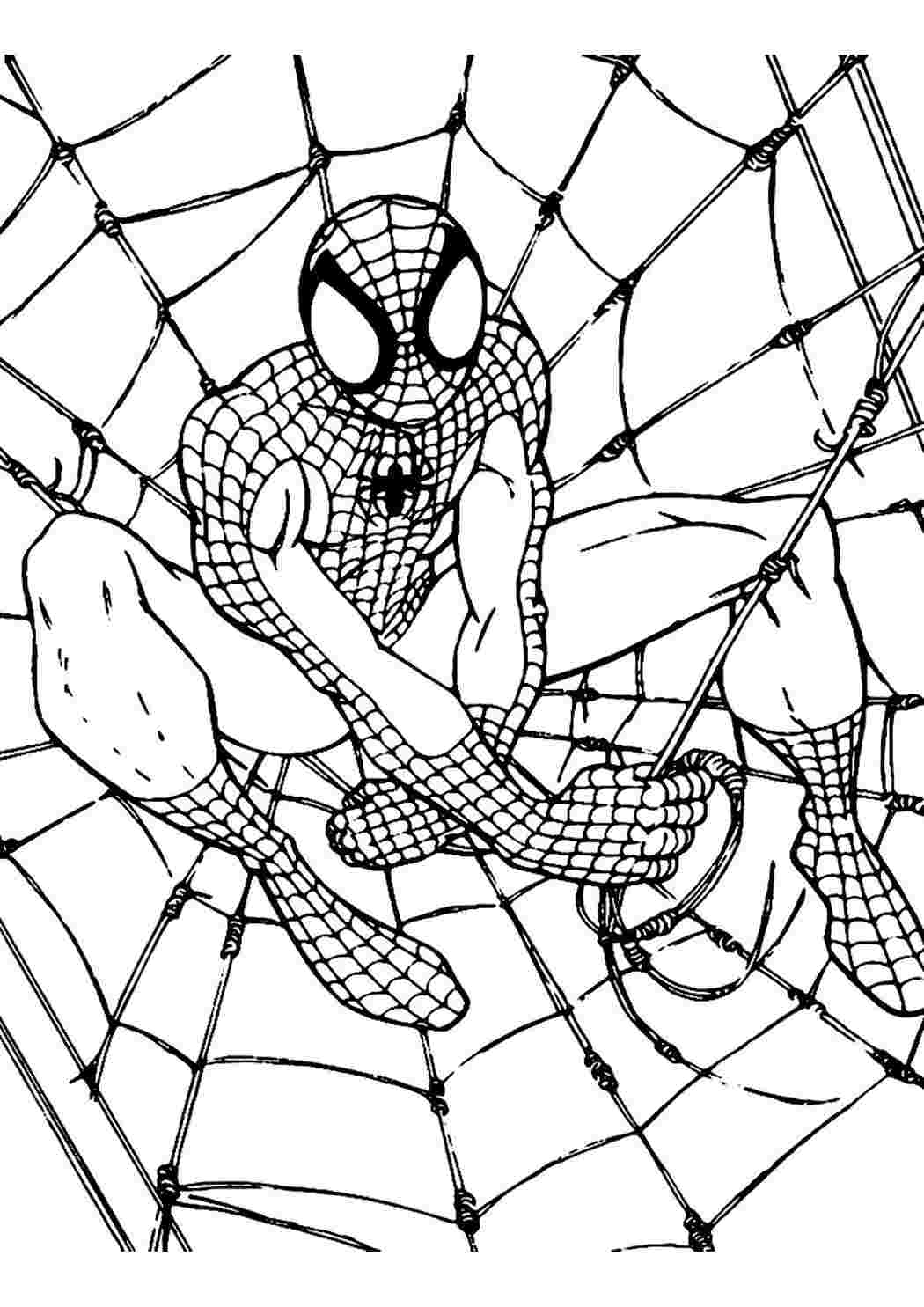 Раскраска Человек паук: распечатать бесплатно ТОП 30 картинок