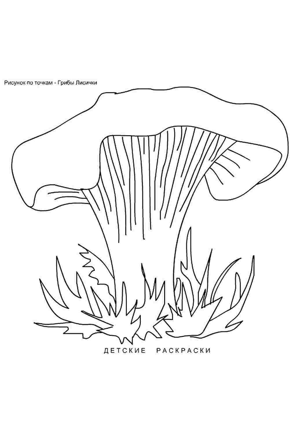 раскраска лисички. Разукраски.