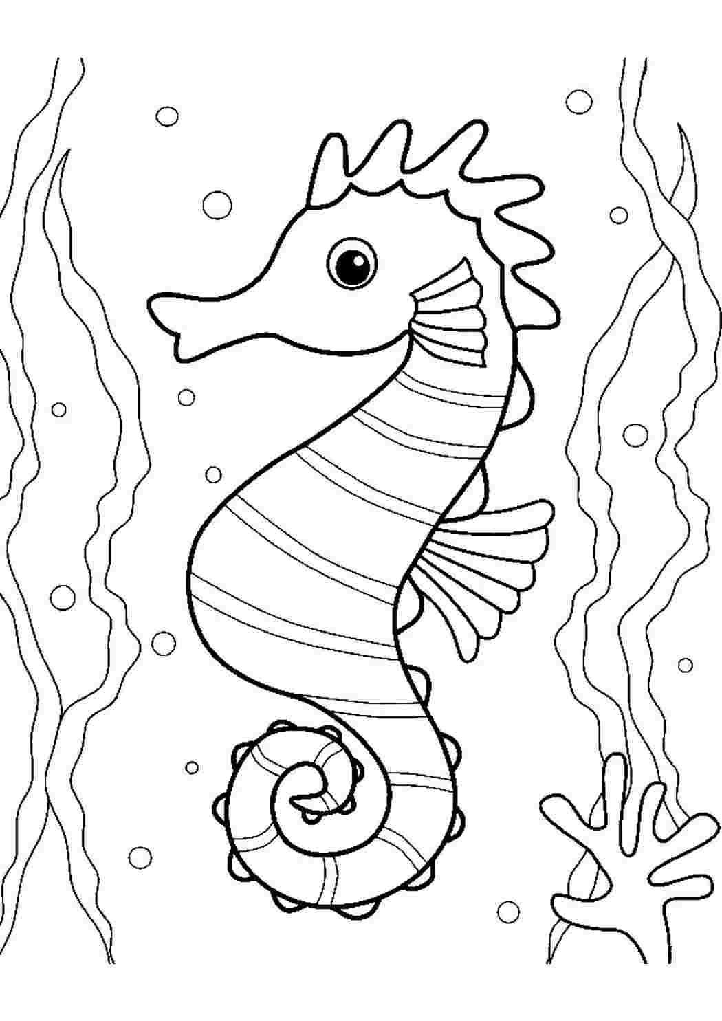 Раскраски Раскраска Раскраска морской конек в аквариуме распечатать. Раскраска для печати. Раскраска Раскраска морской конек в аквариуме распечатать. Красивые раскраски.