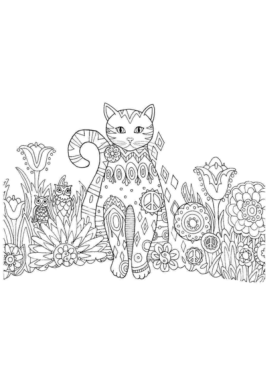 раскраска кототерапия. Раскраска без регистарции.