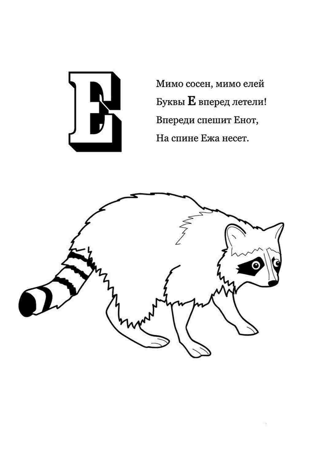 раскраски животные раскраска енот. Интересные раскраски.