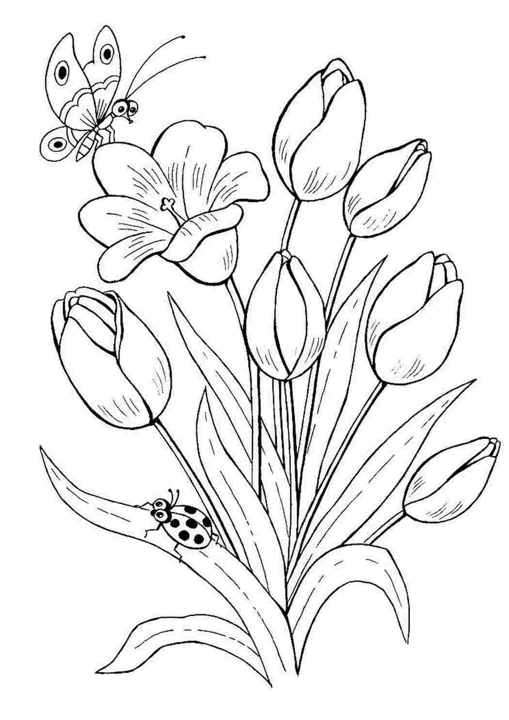 Раскраски Тюльпаны и бабочка. Раскраска. Тюльпаны и бабочка. Распечатать раскраски на сайте.