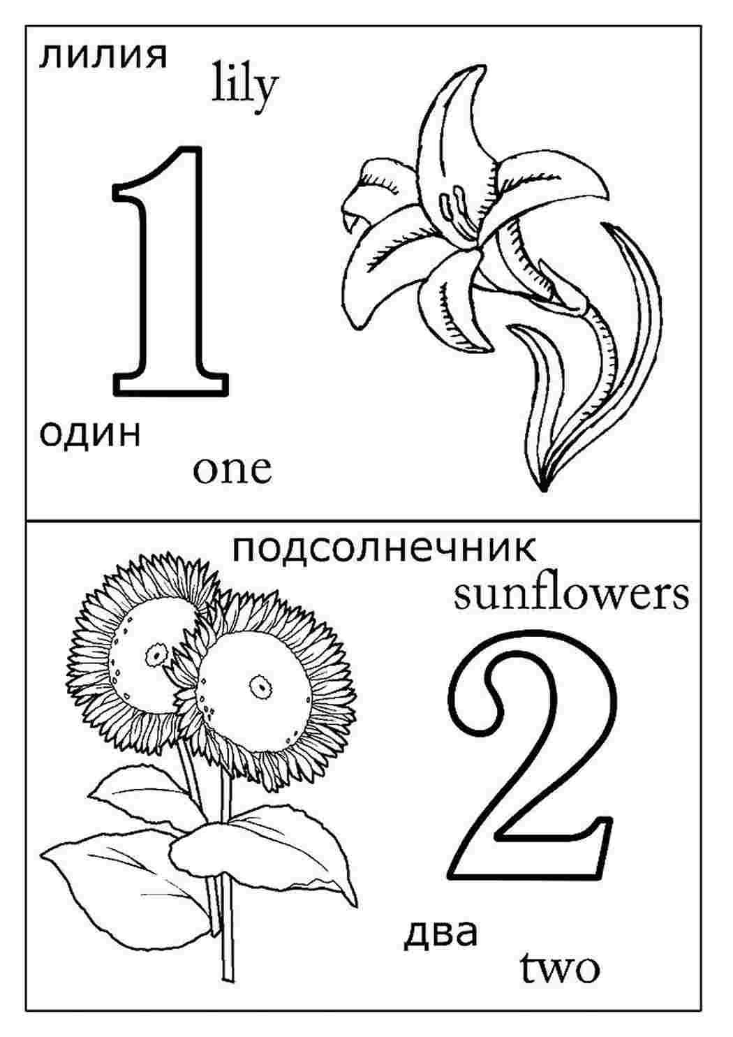 раскраска для 1 класса. Раскраска без регистарции.