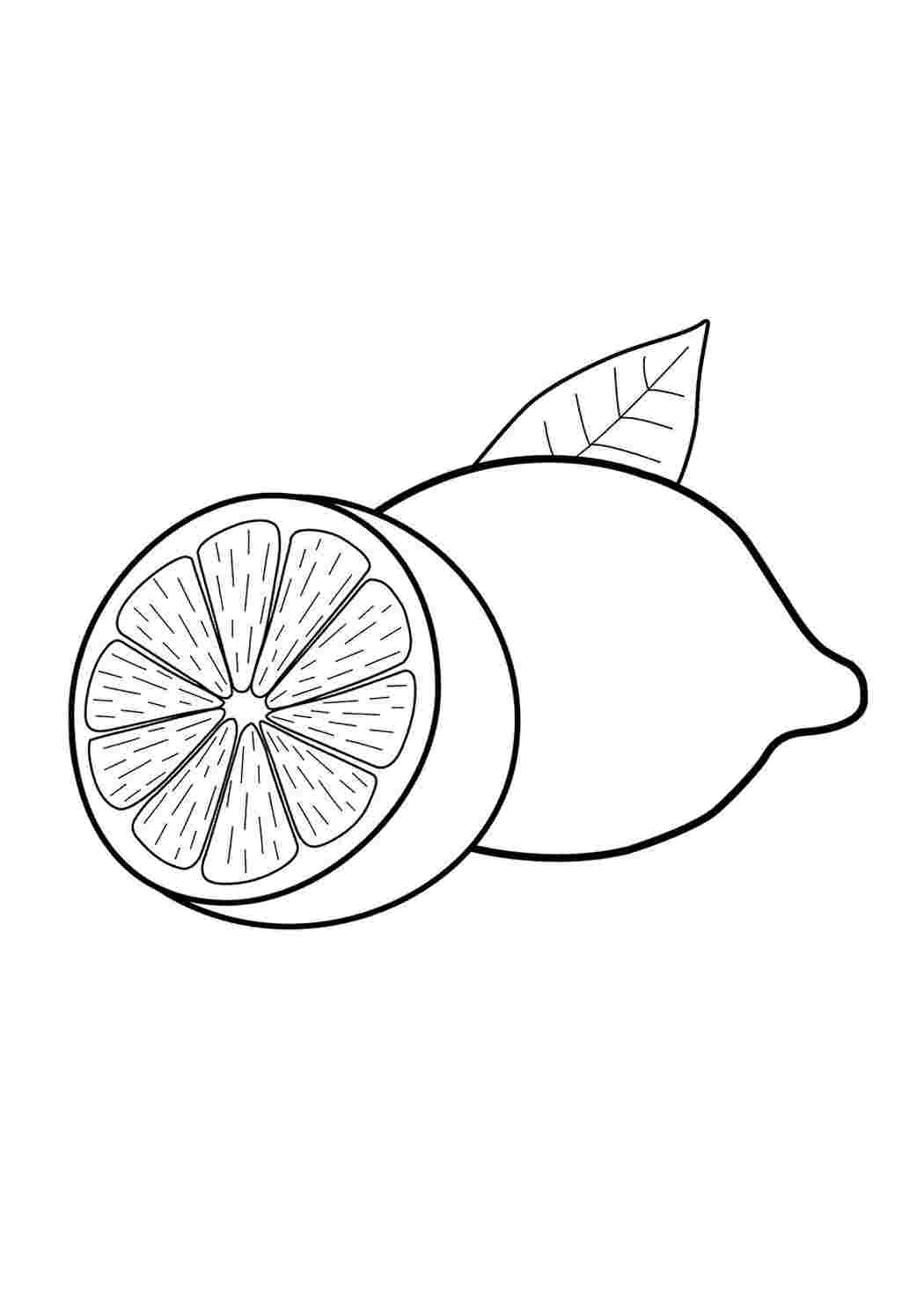раскраска лимон. Картинки раскраски.