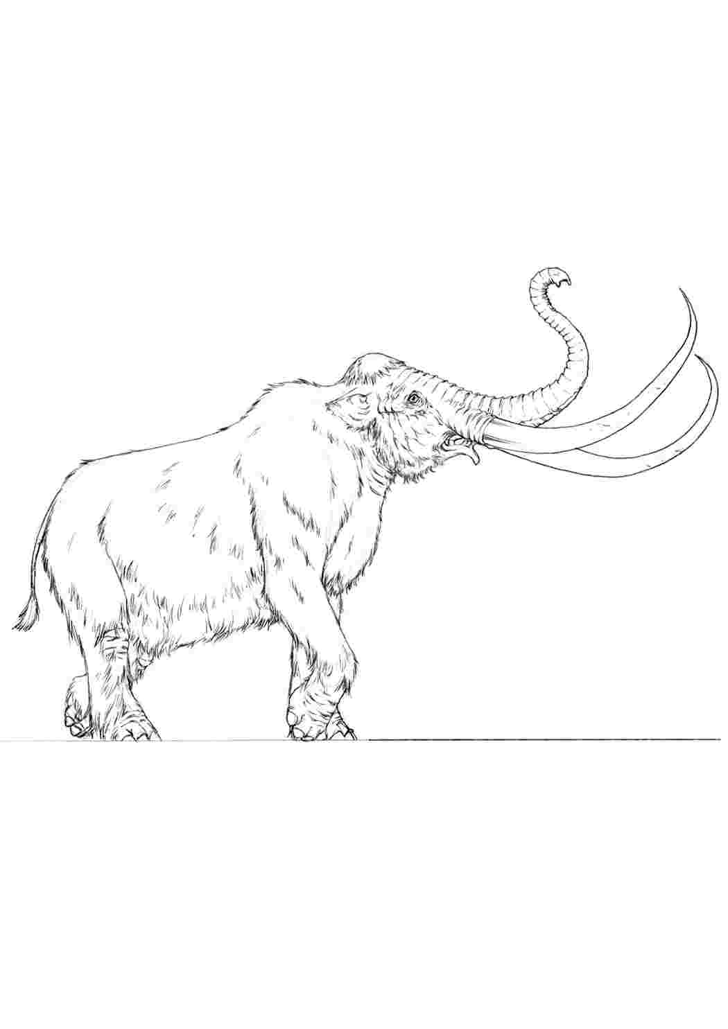 Раскраска по цифрам Радужный мамонт (BRM29959)