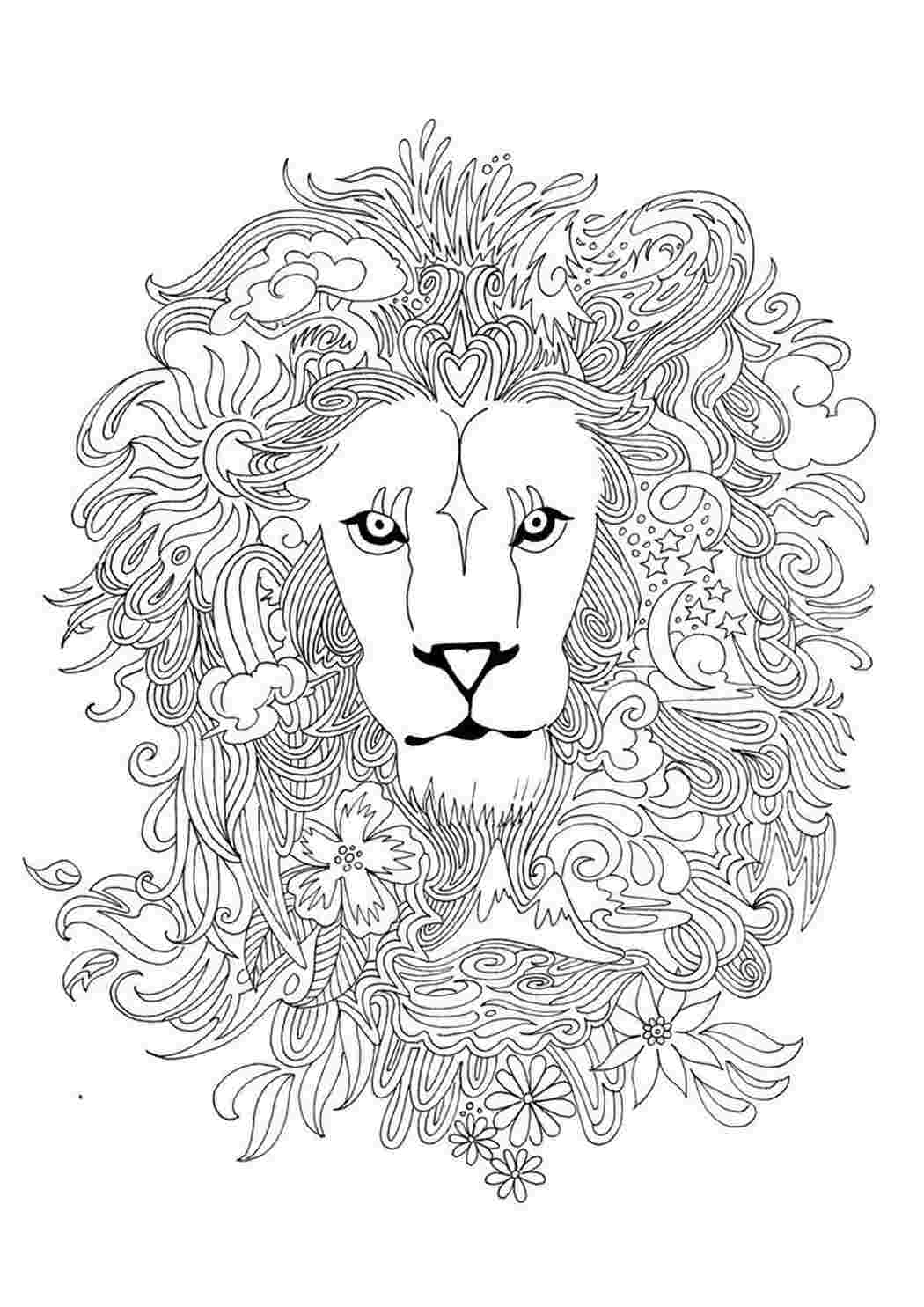 Раскраски лев, Раскраска лев Лев.