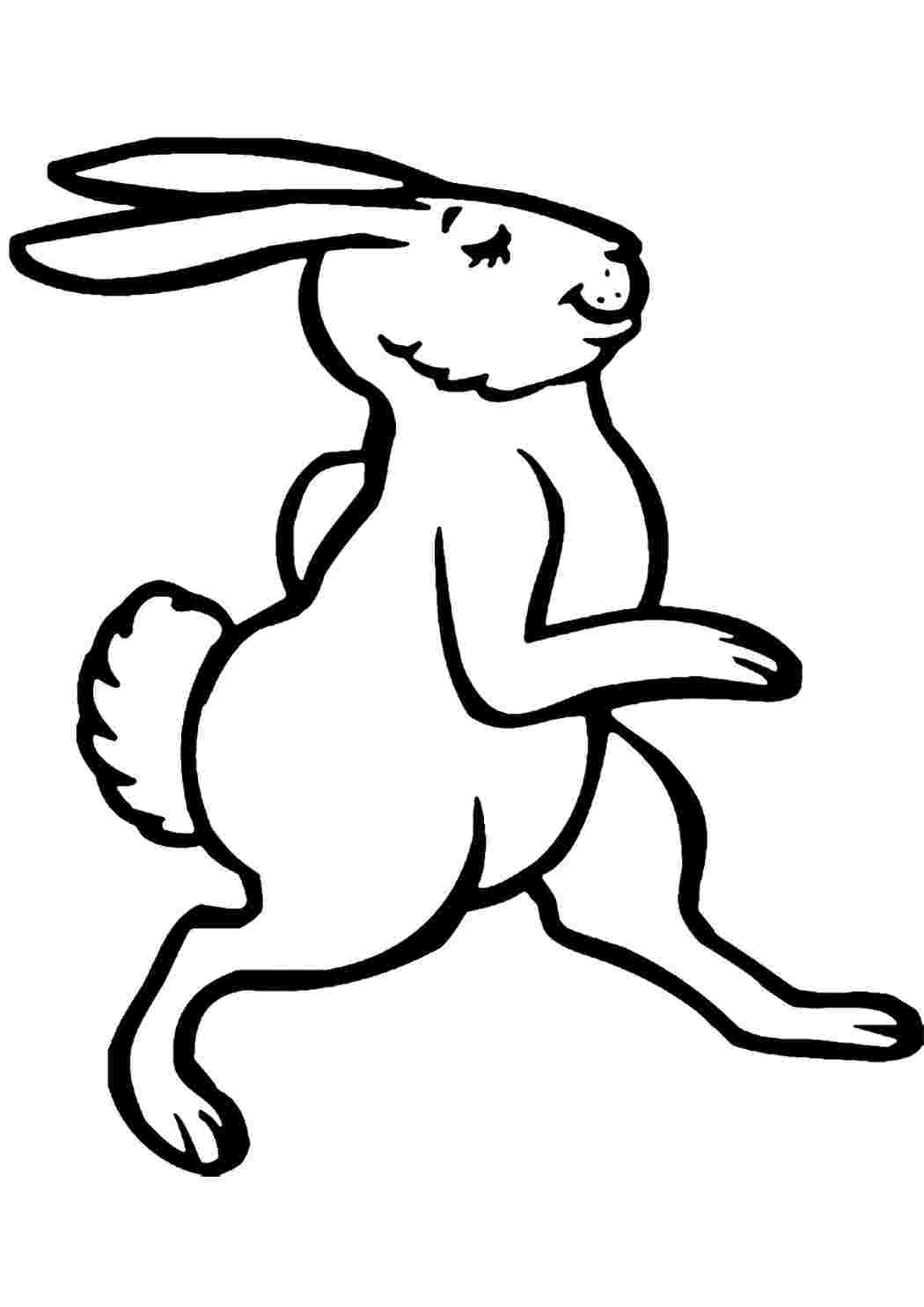 Зайцы, зайчики и кролики - раскраски для детей распечатать