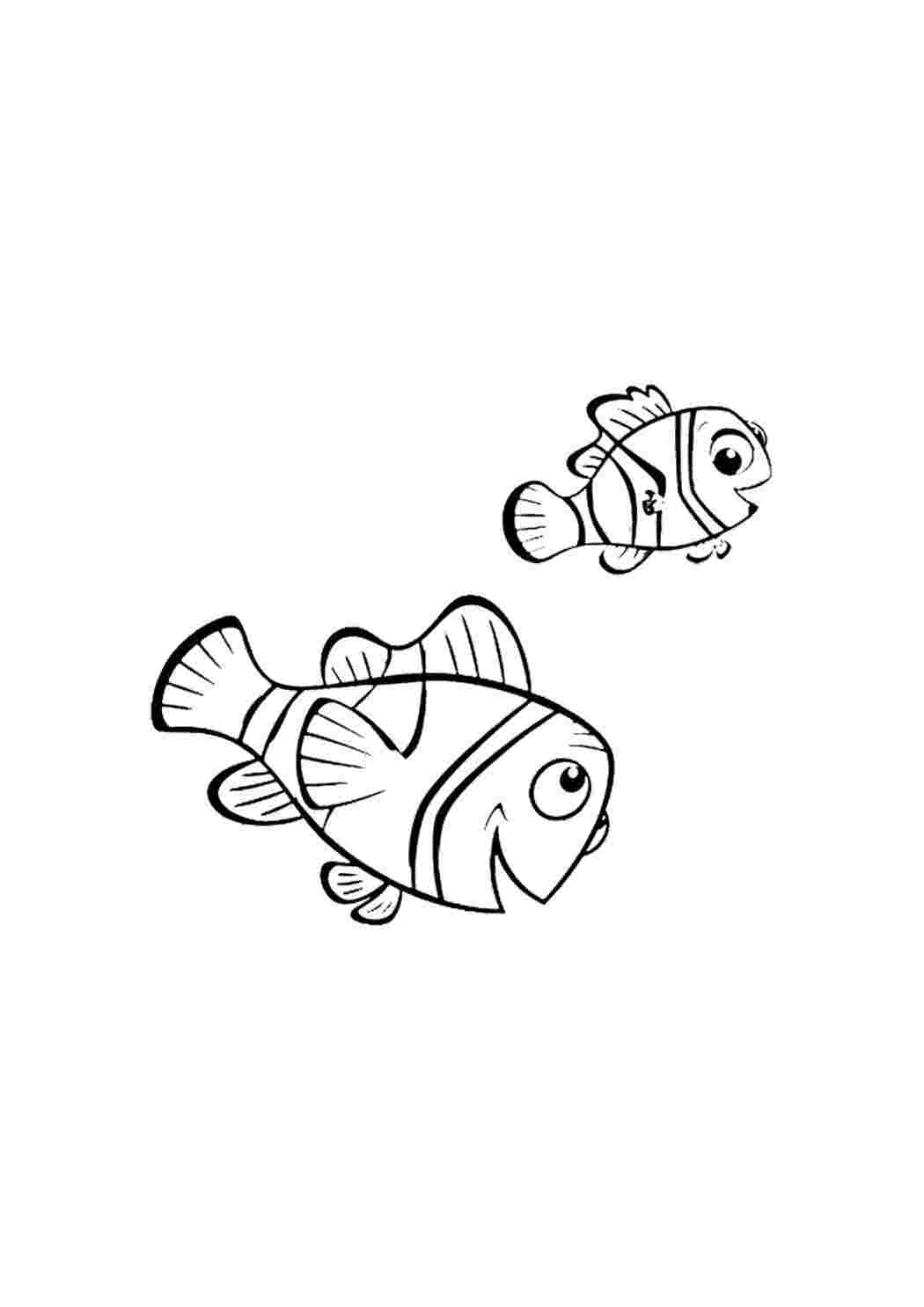 Poika ja isä-Nemo ja Marlin. Раскраски.