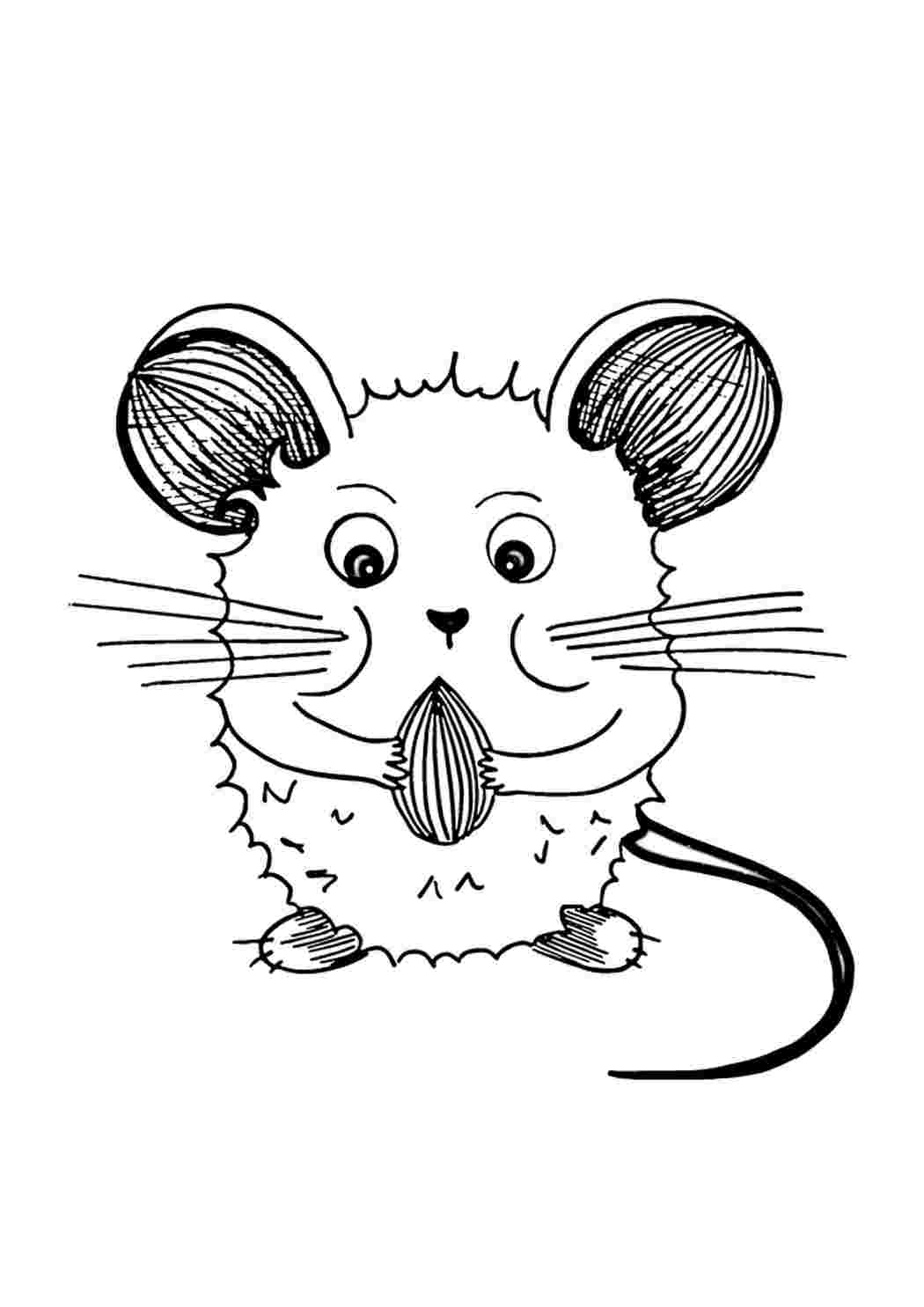 Раскраски Suurikorvainen hamsteri. Раскраски. Suurikorvainen hamsteri. Картинки раскраски.