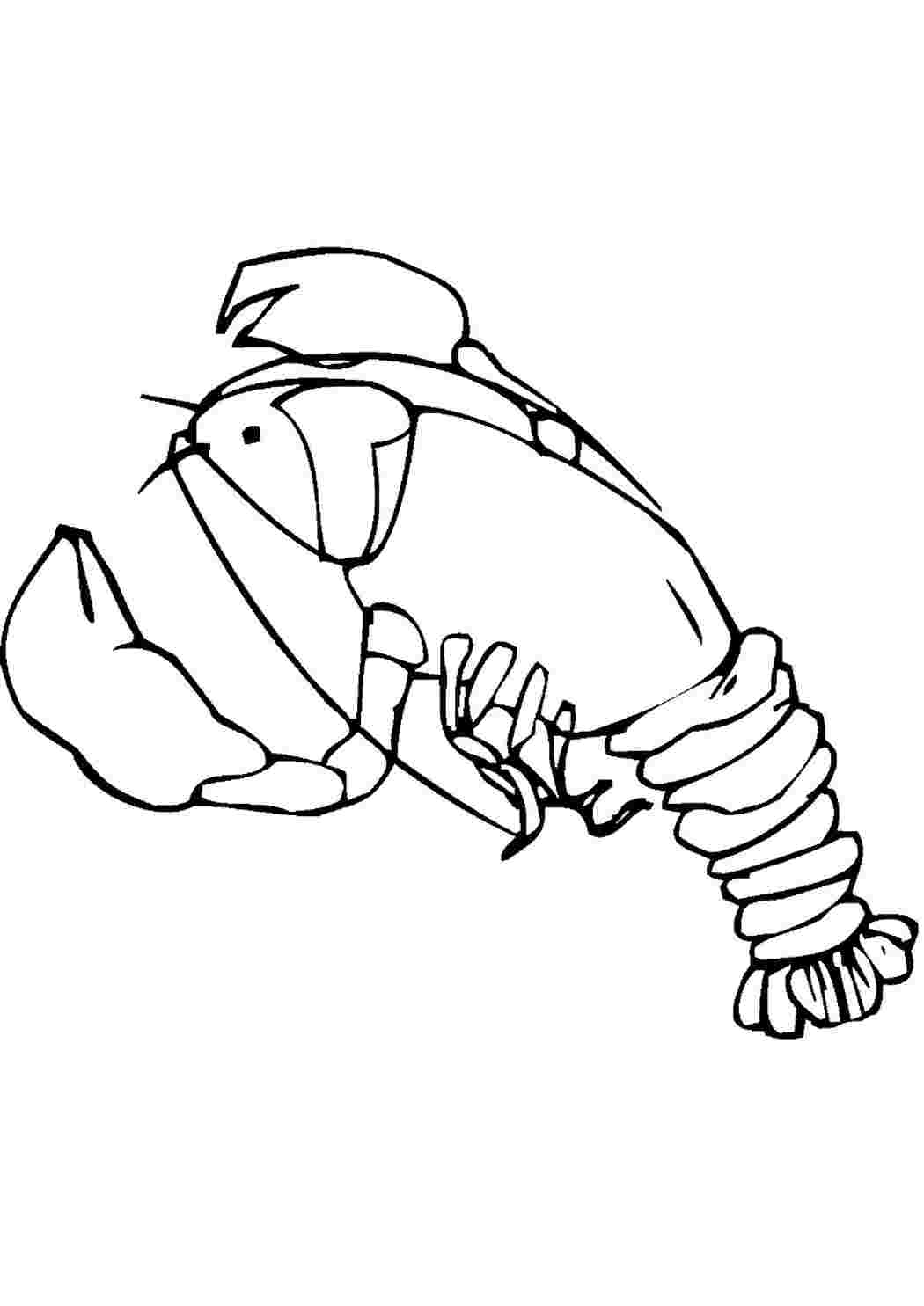 Раскраски Раскраска Раскраска омар распечатать. Лучшие раскраски. Раскраска Раскраска омар распечатать. Разукраска.