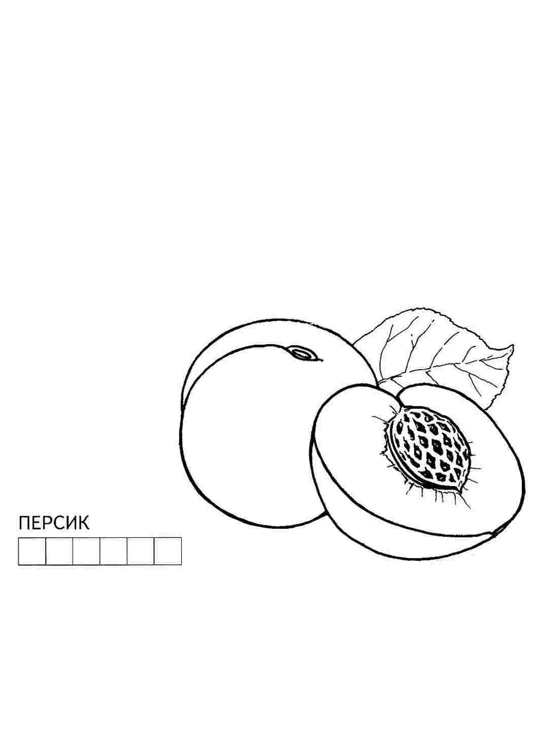 Раскраски раскраска персик. Много раскрасок. раскраска персик. Лучшие раскраски.