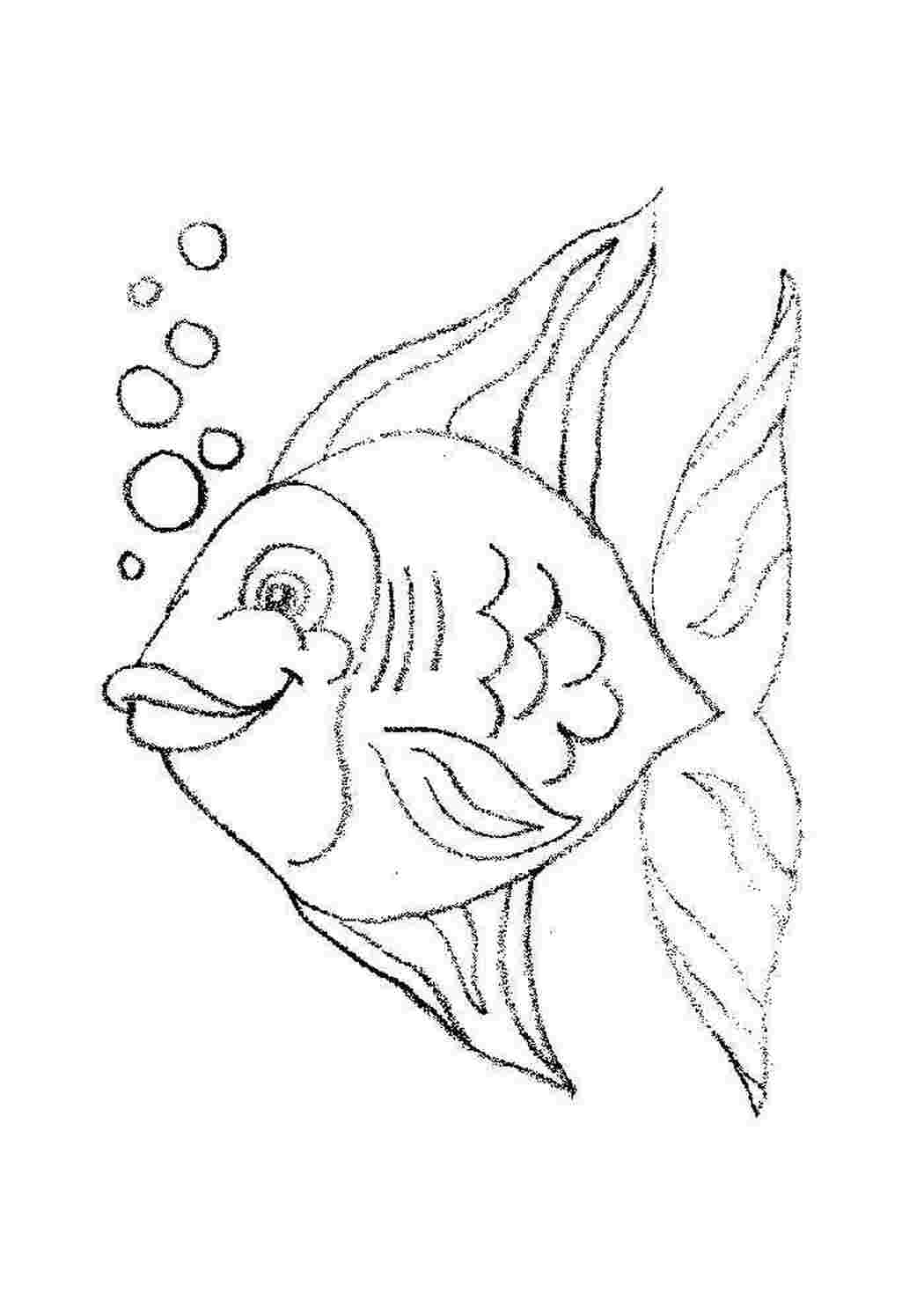 Раскраски раскраски животные рыбки. Бесплатно найти раскраску. раскраски животные рыбки. Распечатать раскраски.