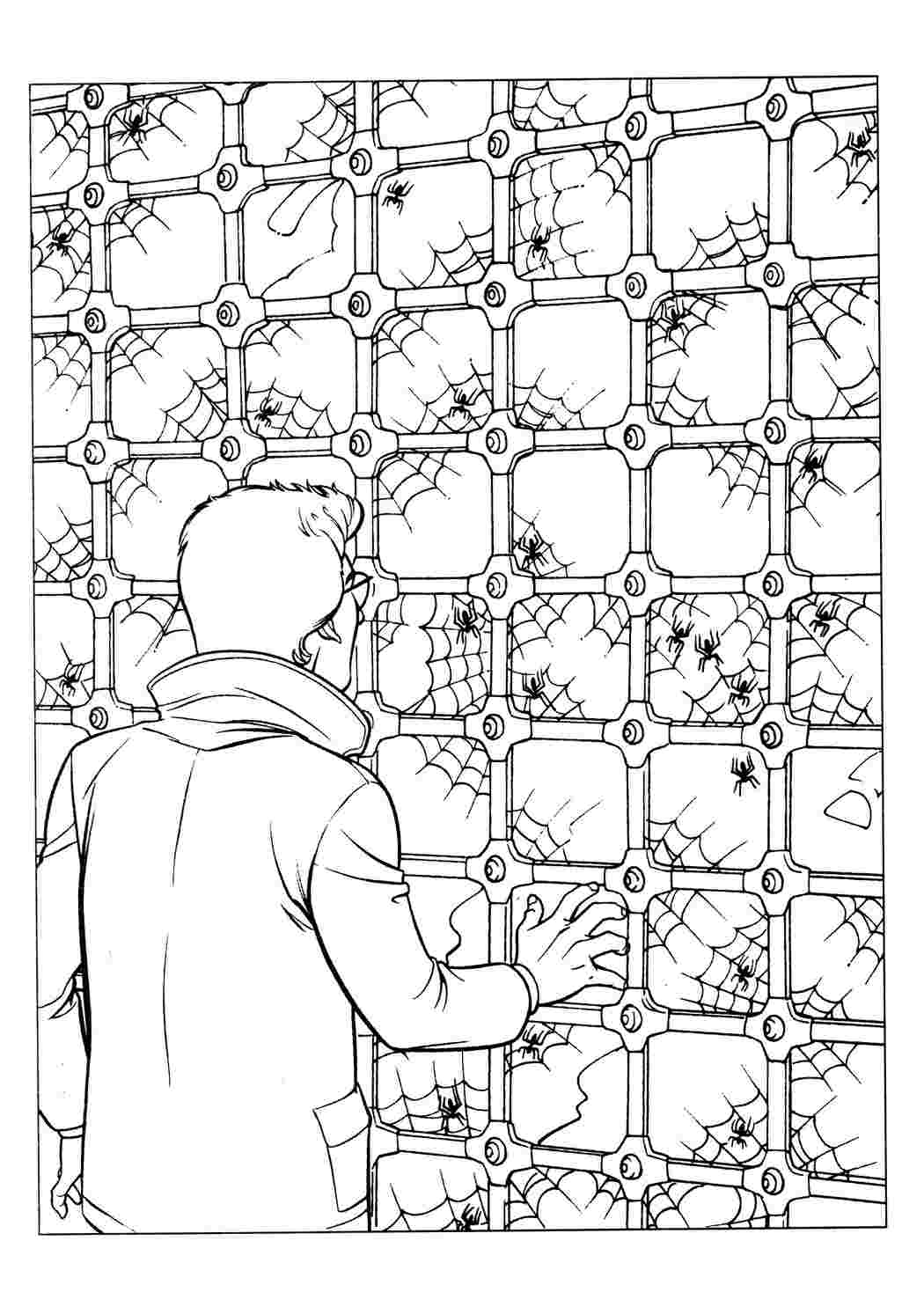 питер паркер и пауки человек паук. Раскраска без регистарции.