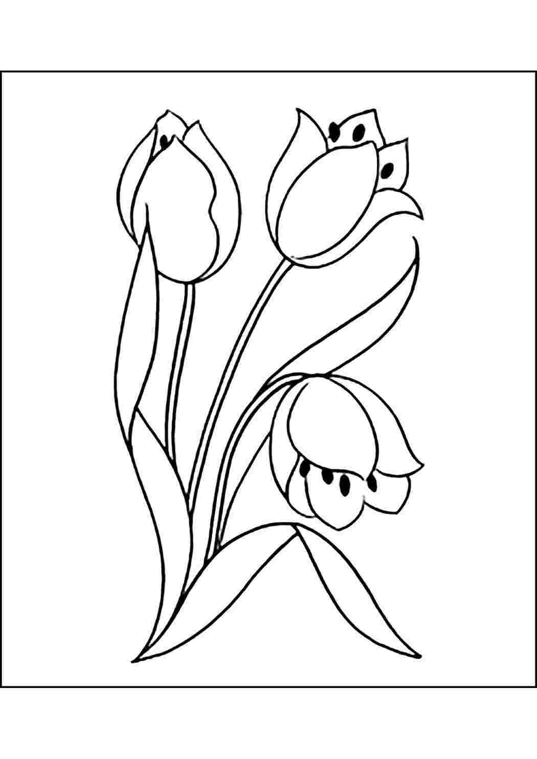 Раскраски Тюльпаны — Распечатывайте бесплатно