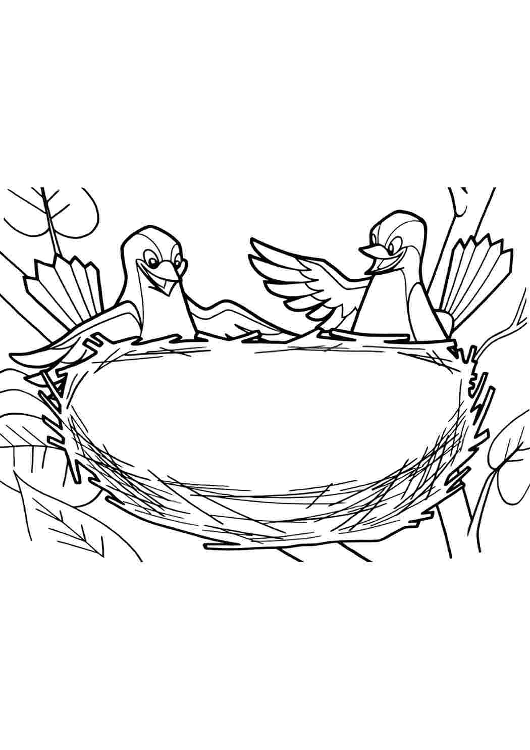 Раскраска - Гнездо с птенцами