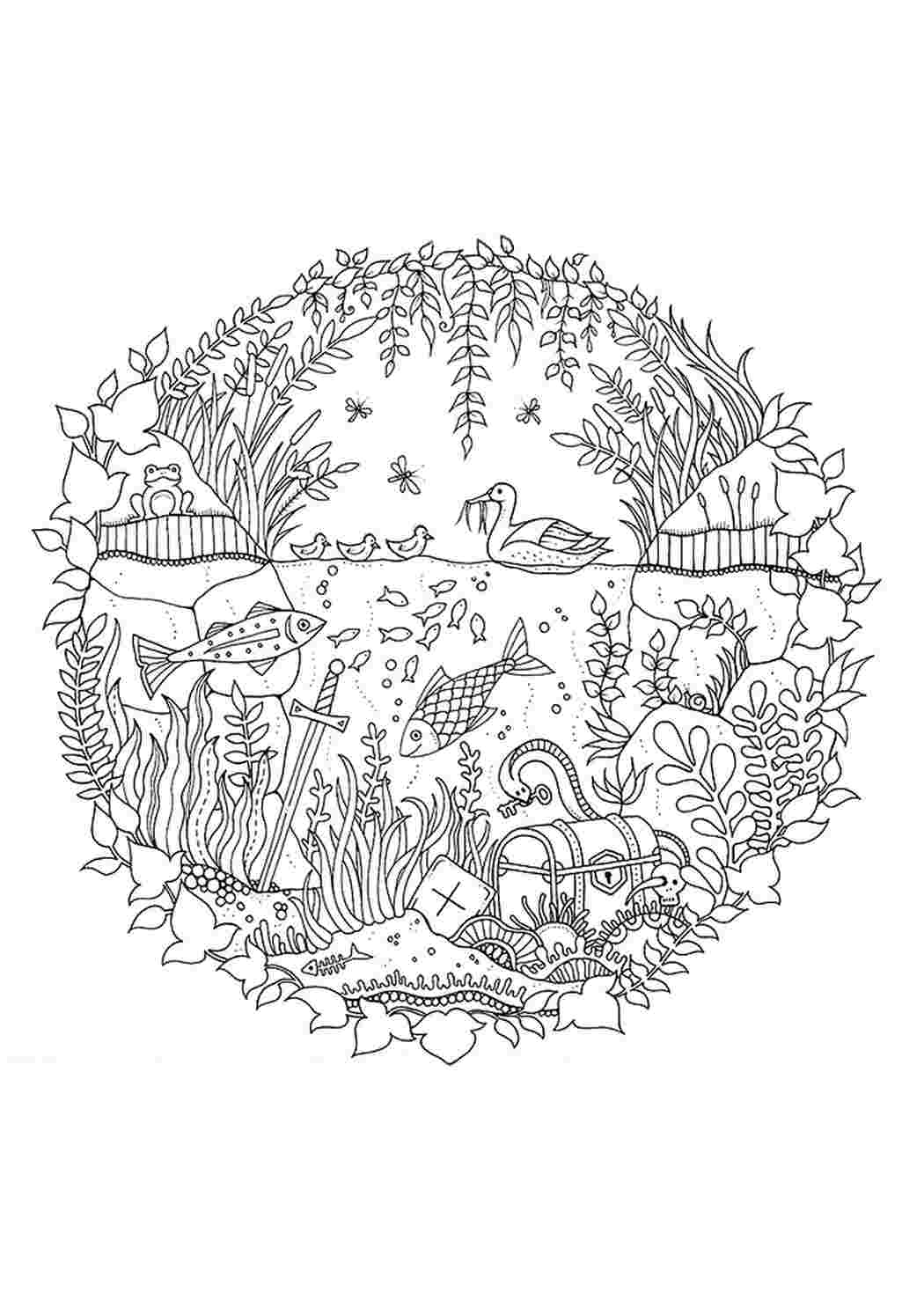 Светлана Шендрик: Сказочный лес. Раскраска-плакат