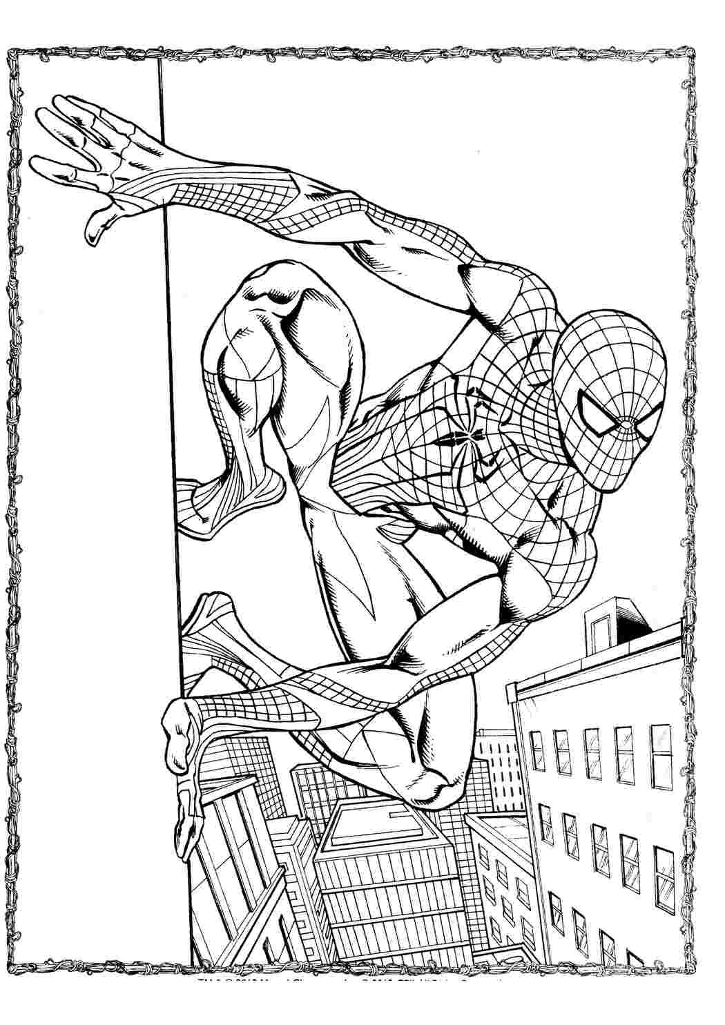 Раскраски Человек паук | Персонажи, герои, принцессы, скачать и распечатать бесплатно