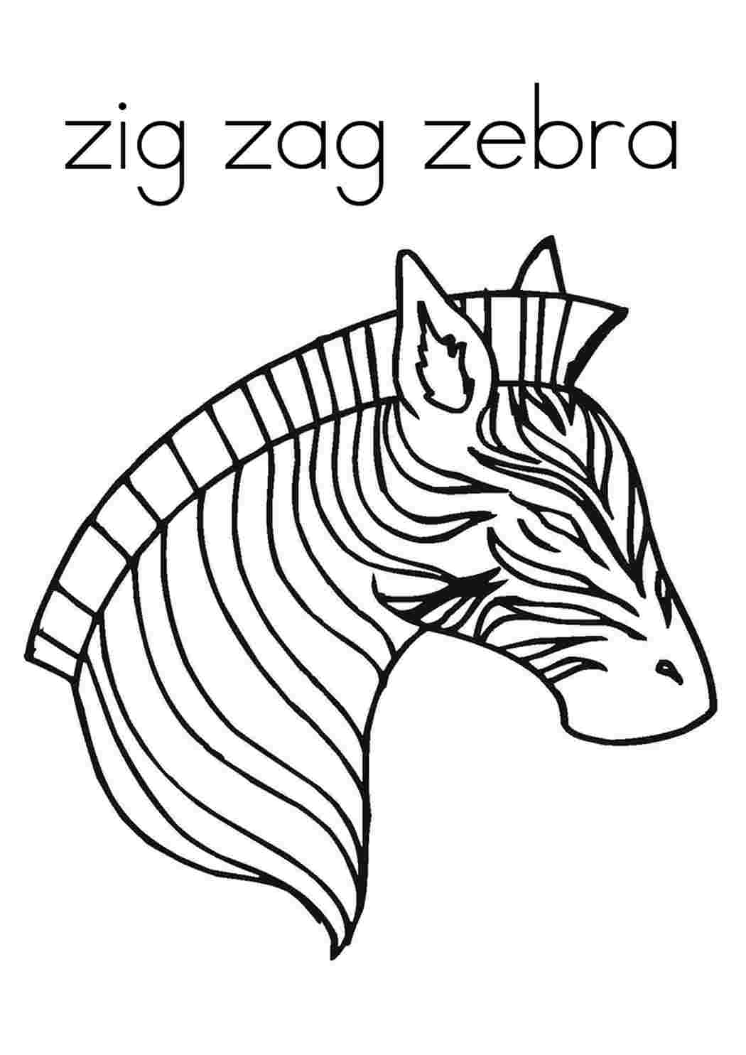 Раскраски для скачивания зебра