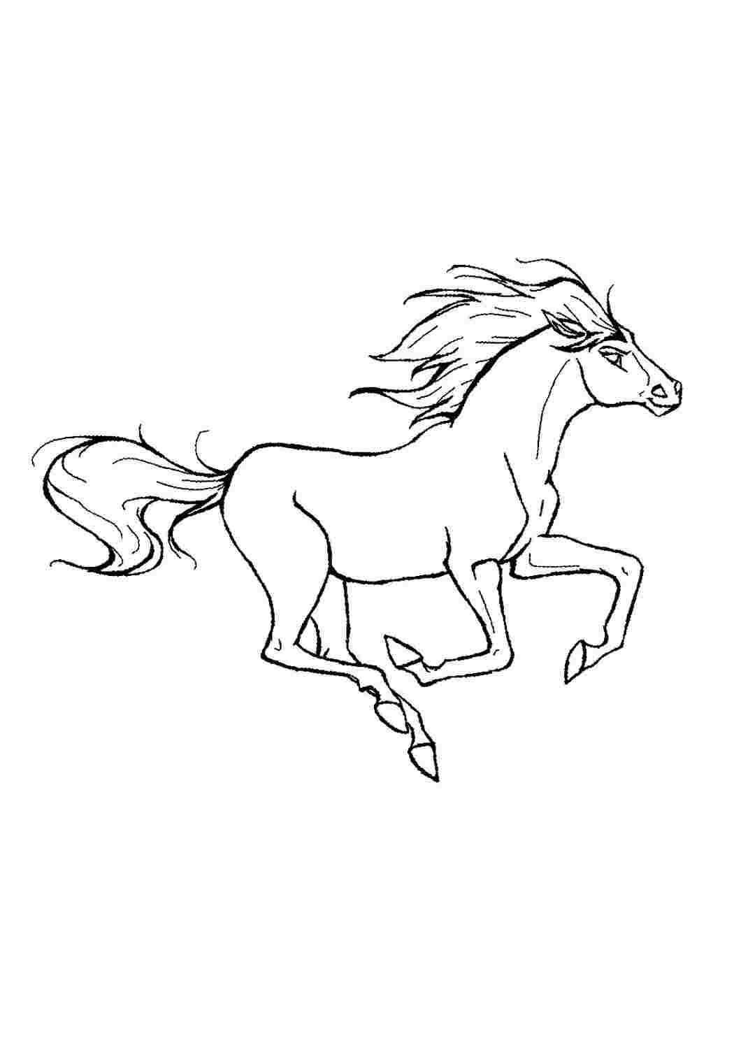 Раскраска - Лошадь в движении