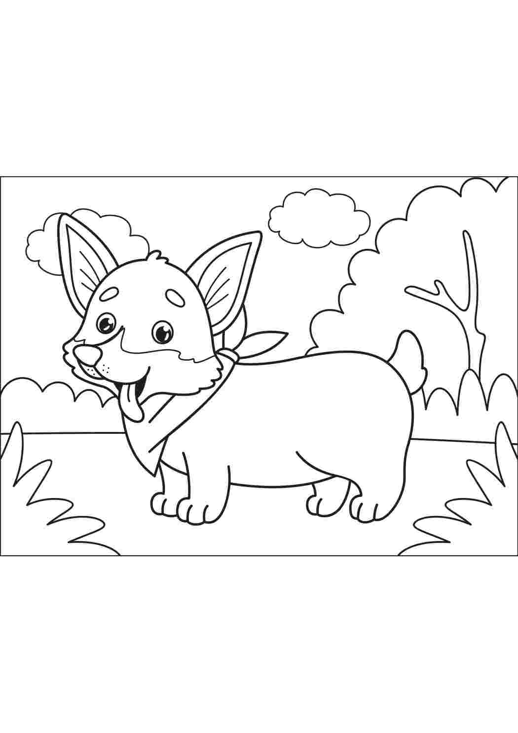 Coloriage Corgi - Chiens Imprimer. Интересные раскраски.