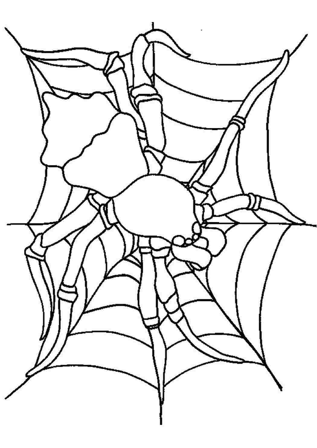 Раскраски детские раскраски раскраска паутина. Онлайн раскраски. детские раскраски раскраска паутина. Раскрашивать онлайн.