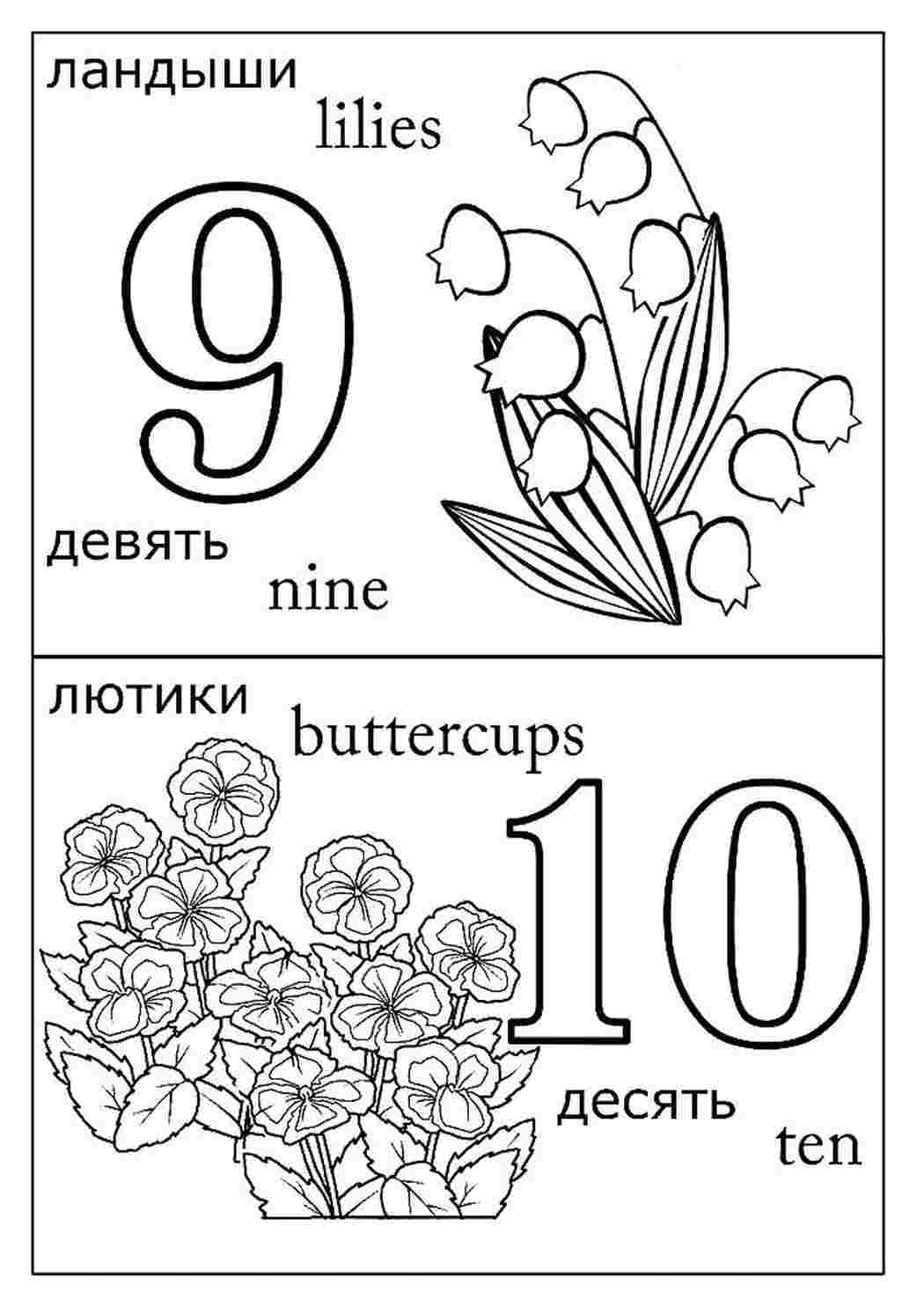 Раскраски раскраска для 1 класса. Обучающие раскраски. раскраска для 1 класса. Бесплатные раскраски.