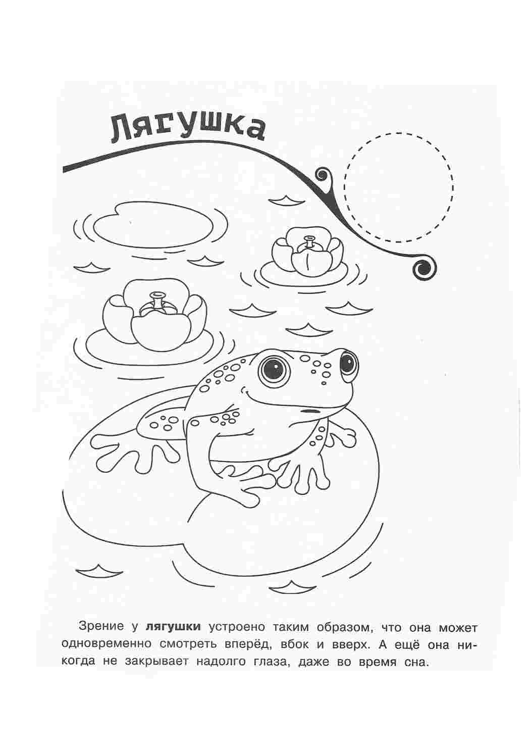 раскраски природа раскраска пруд. Обучающие раскраски.