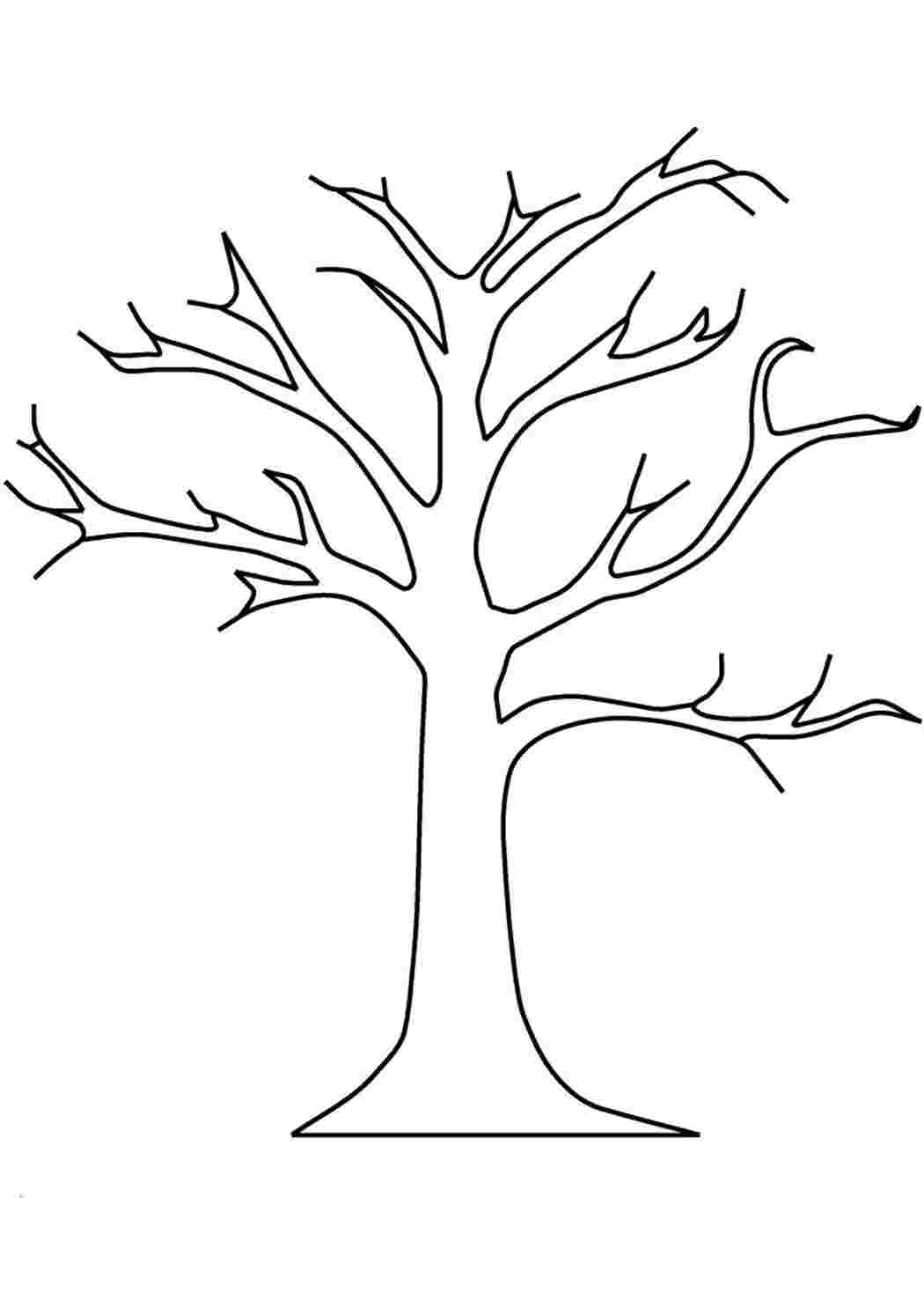 Дерево картинка для детей раскраска