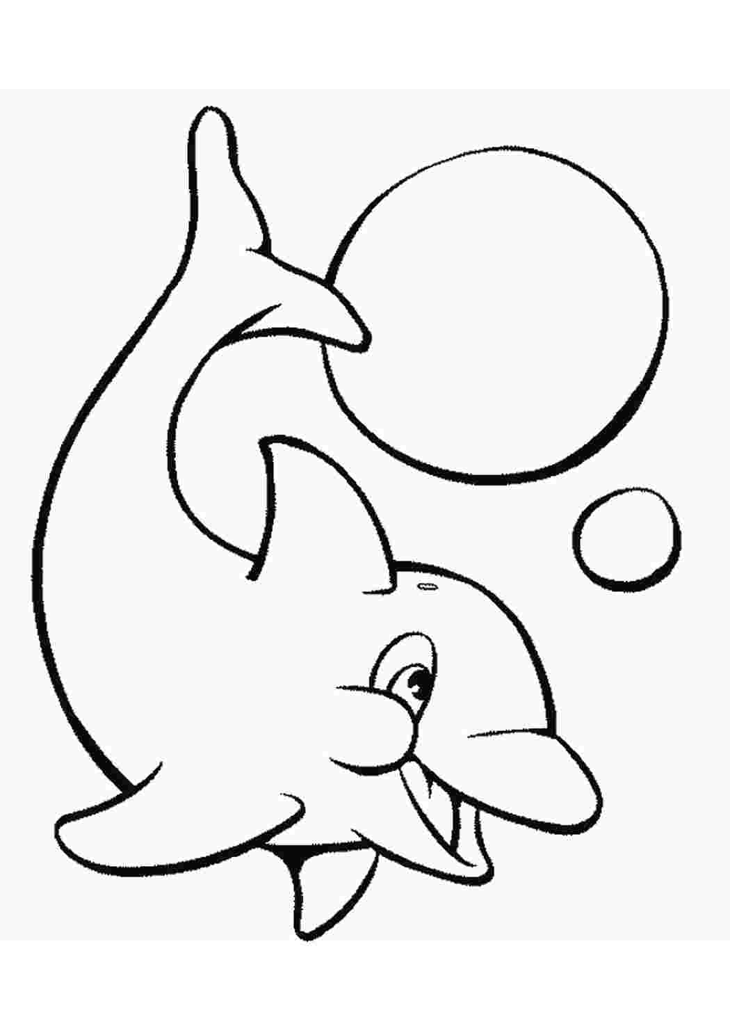 Раскраски дельфин с мячом. Раскраски без СМС. дельфин с мячом. Развивающие раскраски.