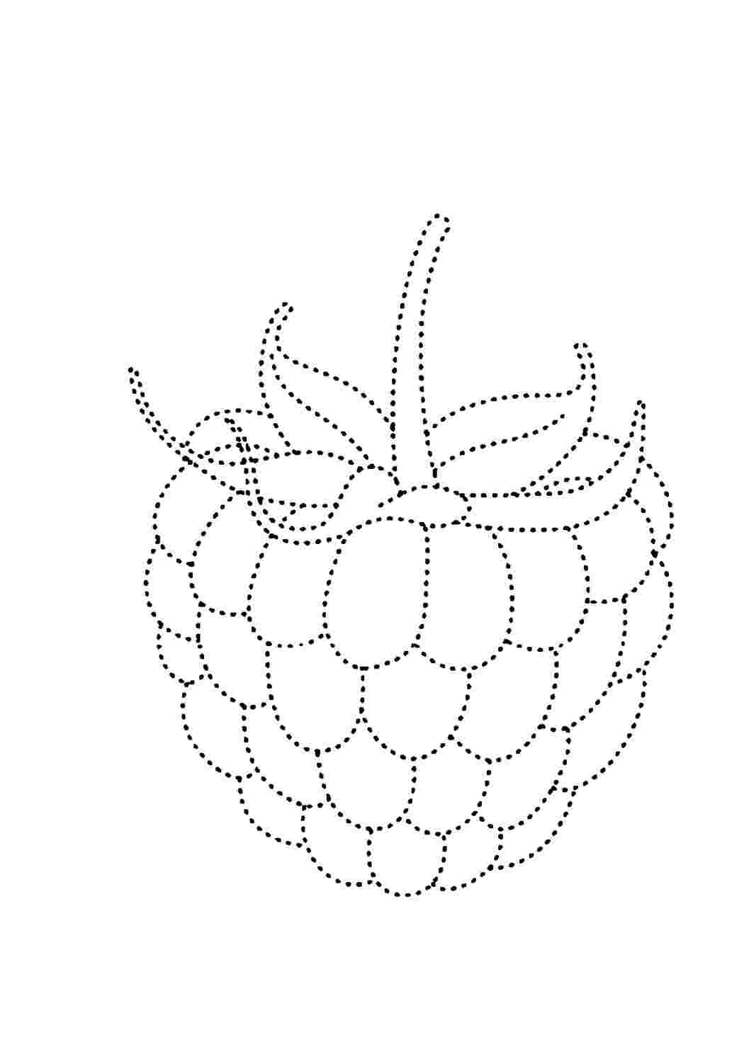 Раскраска Раскраска малина по точкам распечатать. Черно белые раскраски.