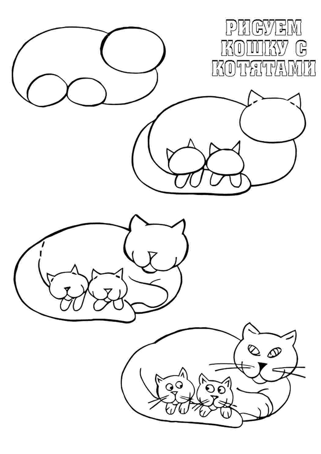 котик. Раскраски без СМС.