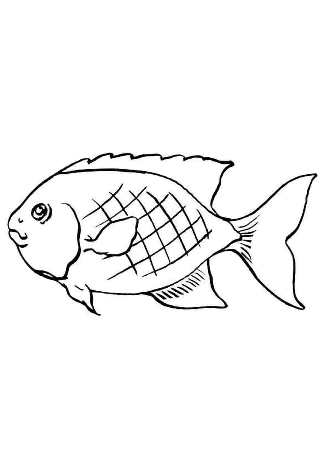 Раскраски раскраски животные рыбки. Интересные раскраски. раскраски животные рыбки. Раскраски для развития.