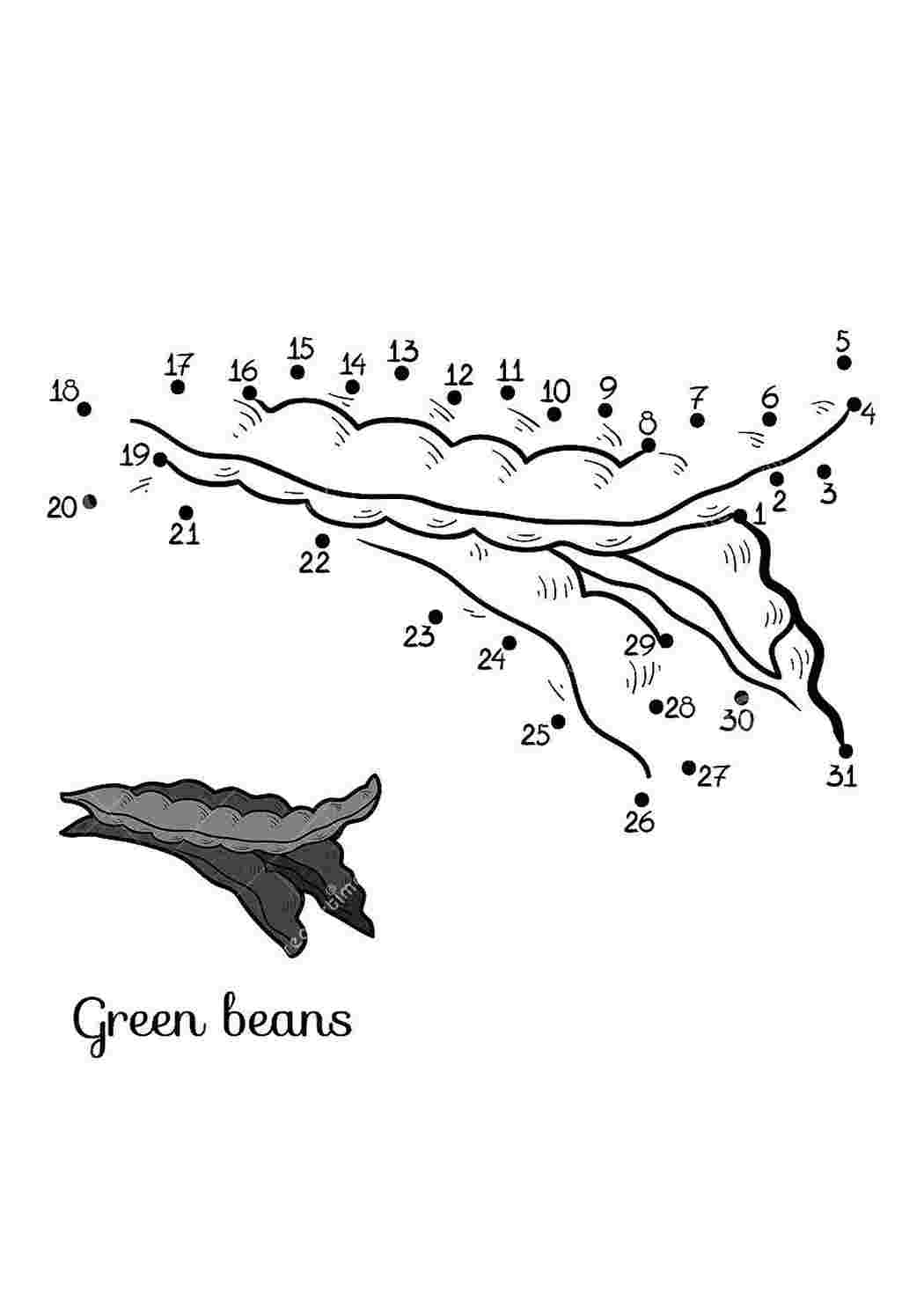 Раскраски раскраска фасоль. Бесплатные раскраски. раскраска фасоль. Разукрашка.