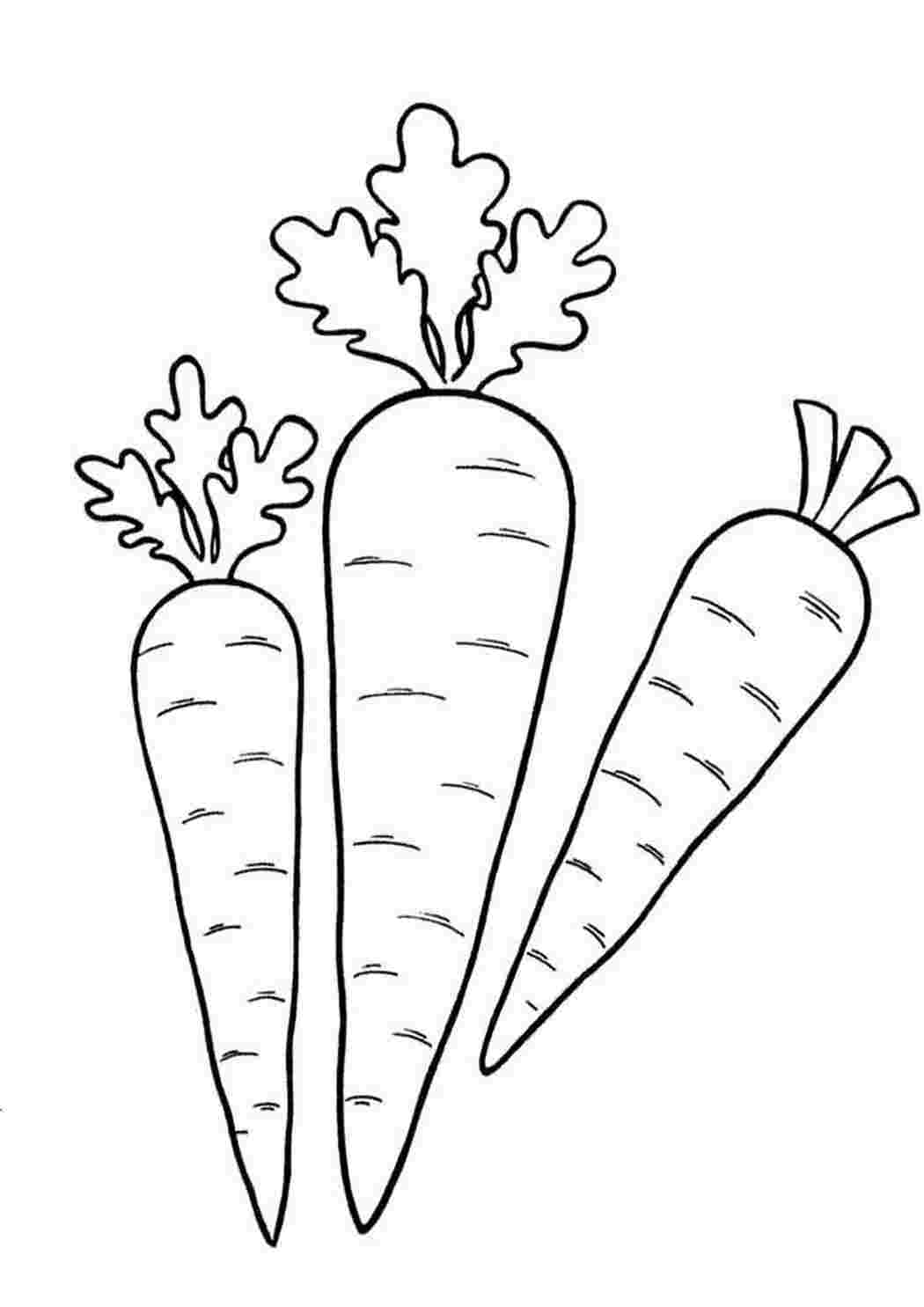 Морковь раскраска для детей - 69 фото