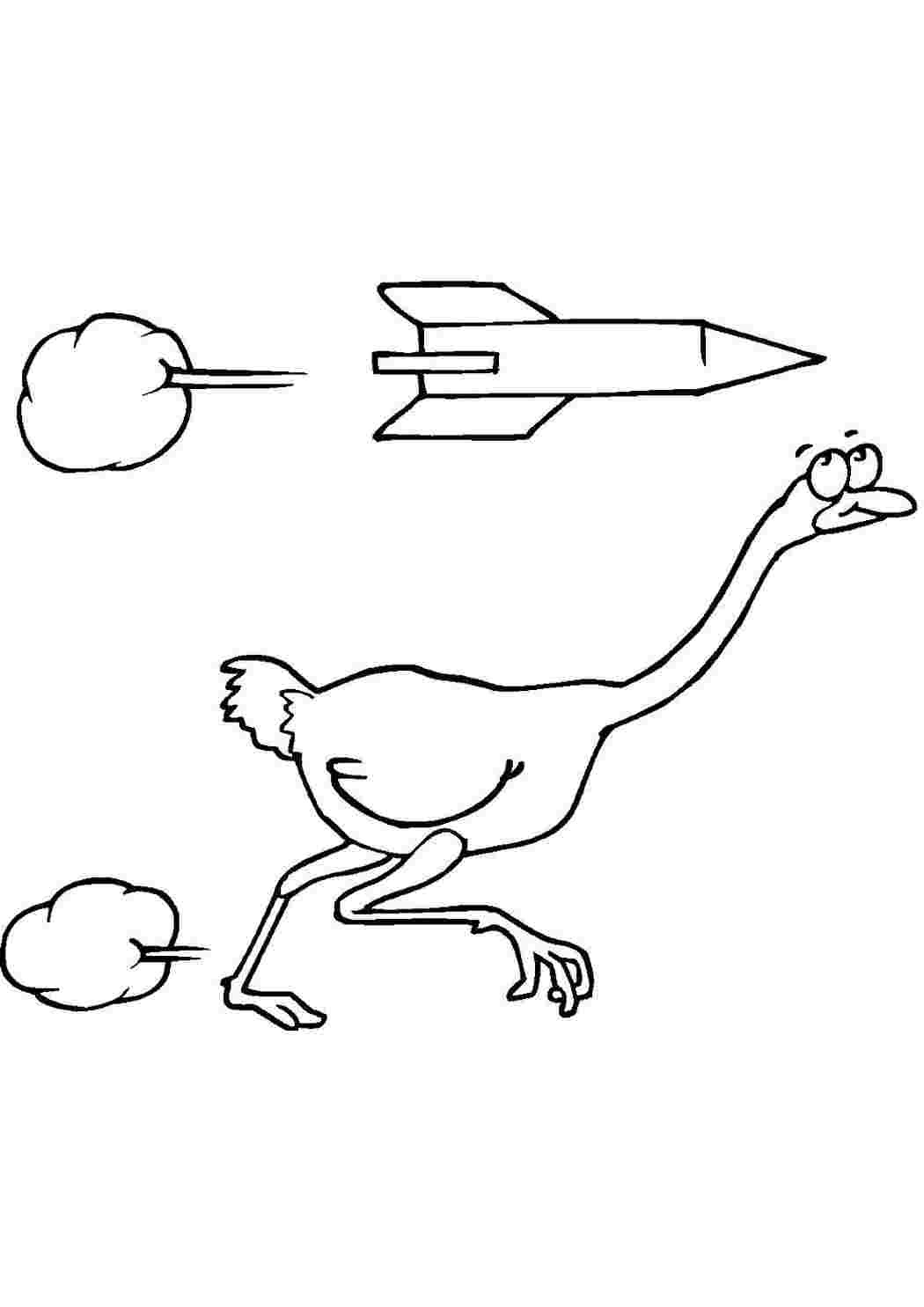 раскраски животные раскраска страус. Раскрашивать онлайн.