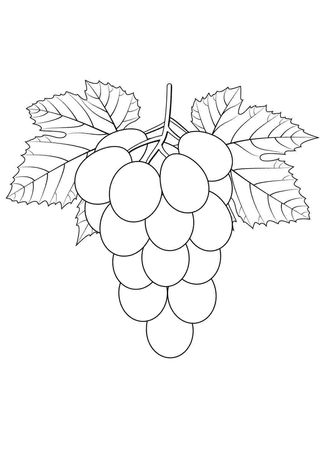Раскраска онлайн Гроздь винограда бесплатно