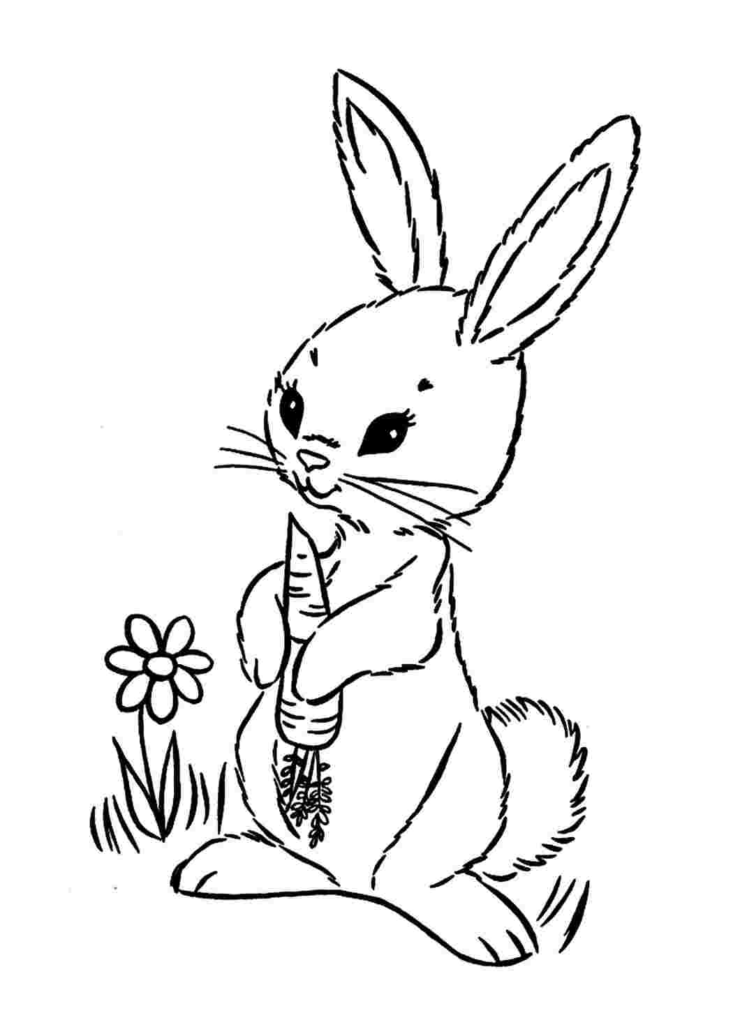 Раскраски Контур зайца для вырезания, Раскраски детские.