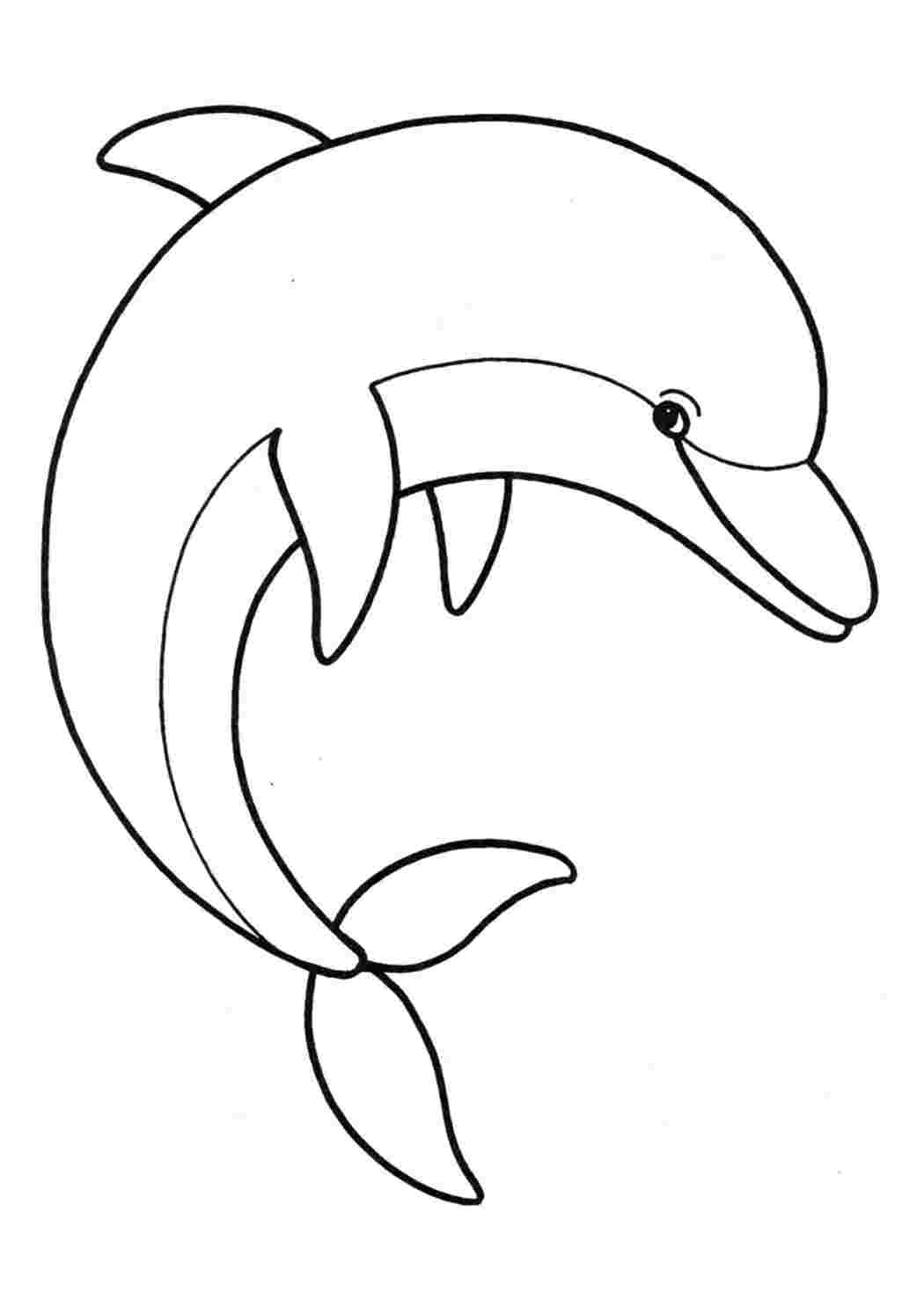 Раскраски море дельфины. Разукраска. море дельфины. Черно белые раскраски.