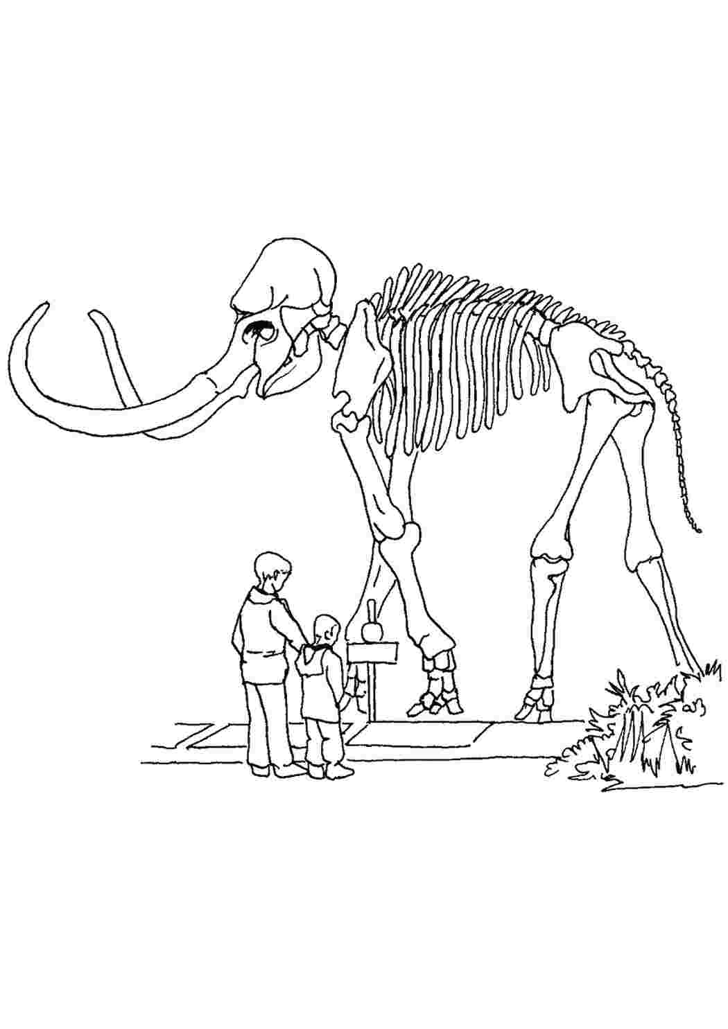Раскраски мамонт. Раскраска без регистарции. мамонт. Раскраски для развития.