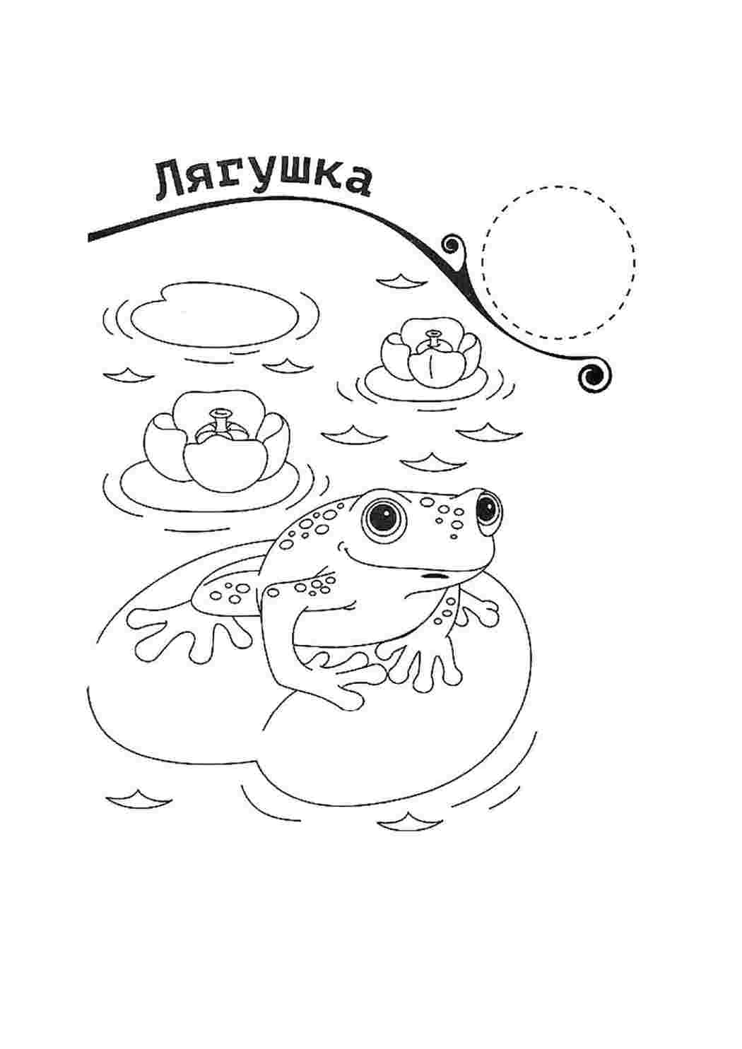 раскраски природа раскраска пруд. Черно белые раскраски.