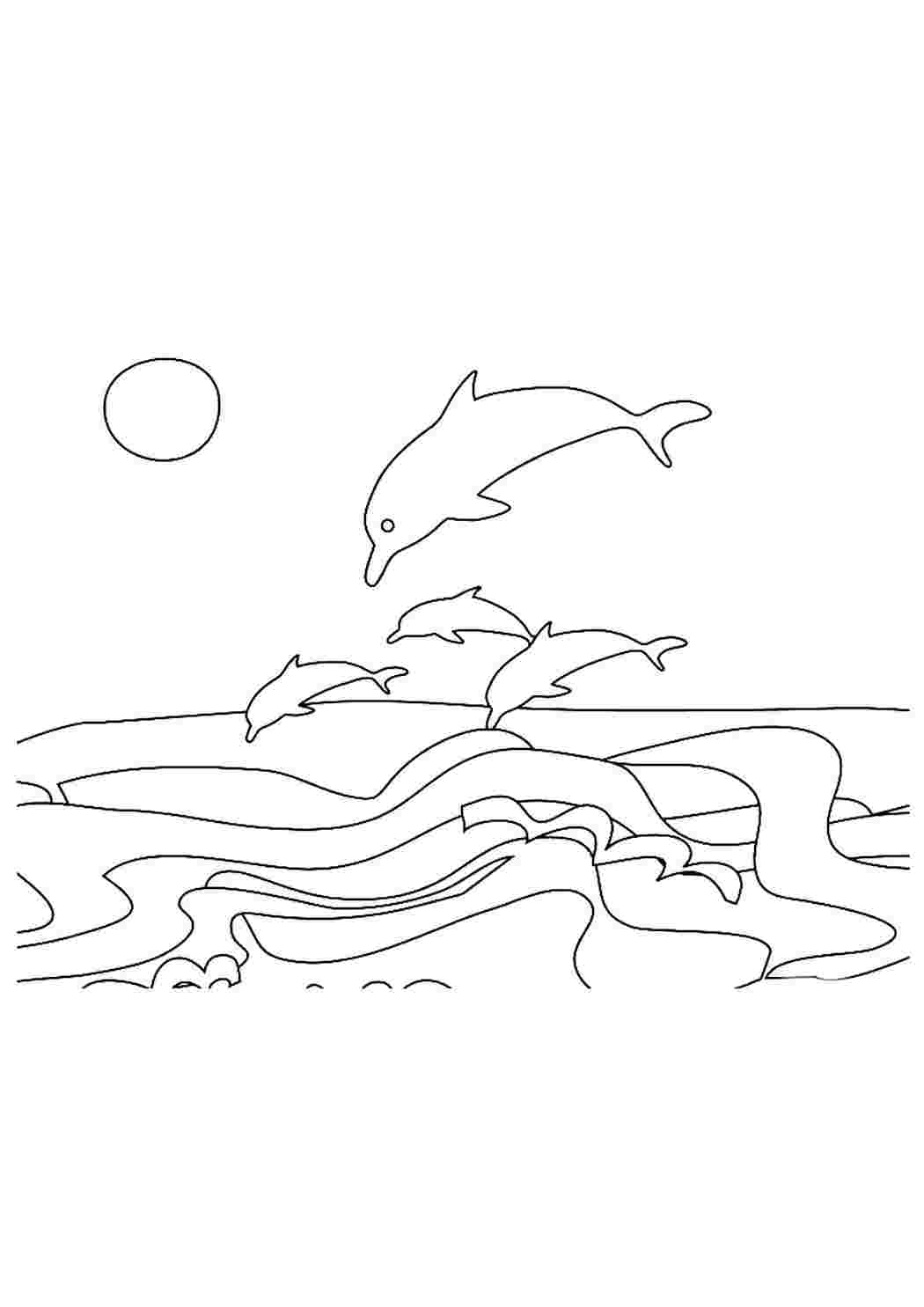 Раскраска море дельфины. море дельфины. Картинки раскраски.