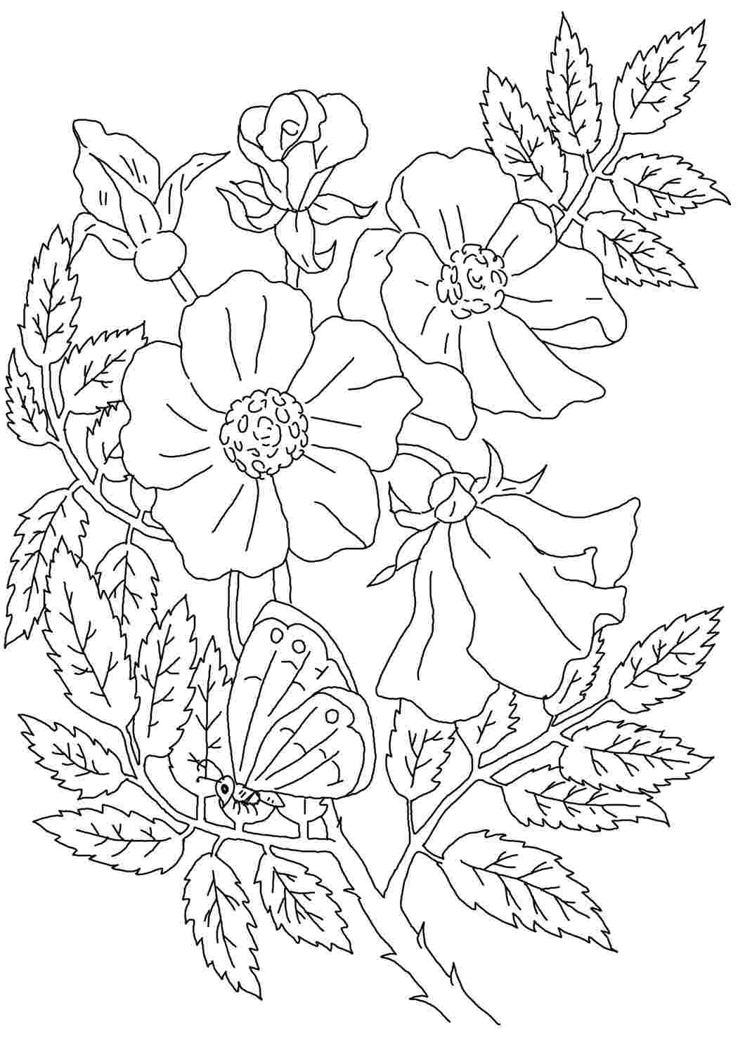 Раскраски по номерам Шиповник в глиняном чайнике (MR-Q1052) Mariposa
