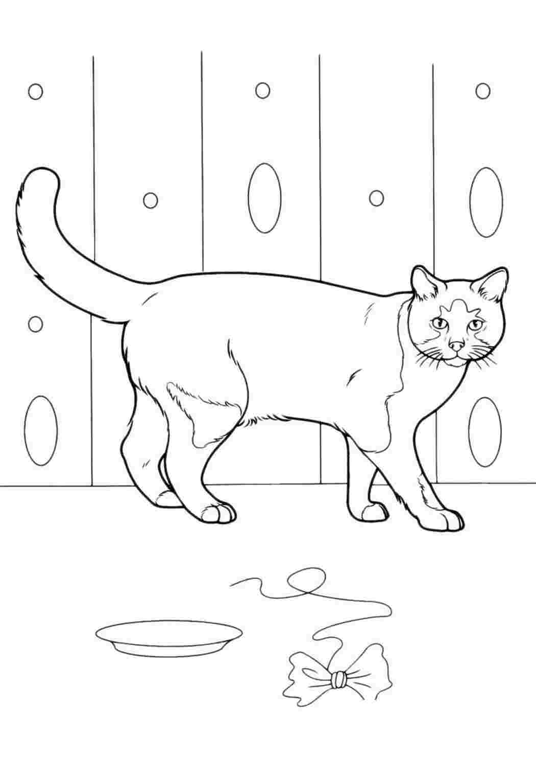 Раскраски Кошка играет бантиком. Разукраска. Кошка играет бантиком. Интересные раскраски.