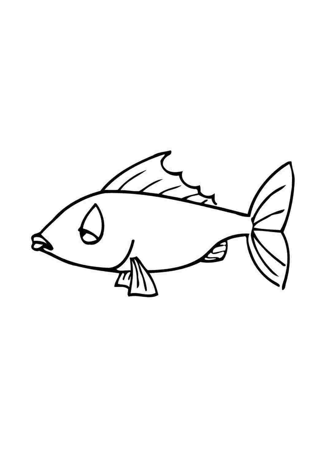 Раскраски раскраски животные рыбки. Скачать раскраски бесплатно. раскраски животные рыбки. Раскраски в формате А4.
