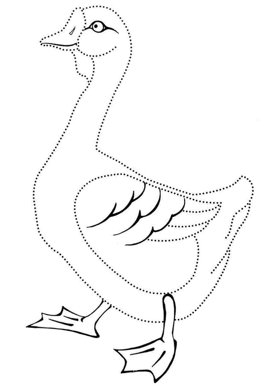 Раскраски раскраски животные раскраска гусь. Печатать раскарску. раскраски животные раскраска гусь. Раскраски для развития.