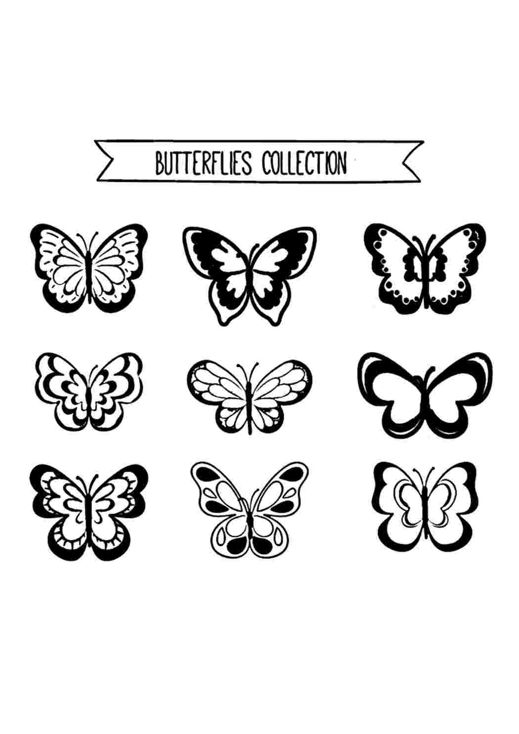 Раскраски Butterfly collection. Печатать раскарску. Butterfly collection. Картинки раскраски.